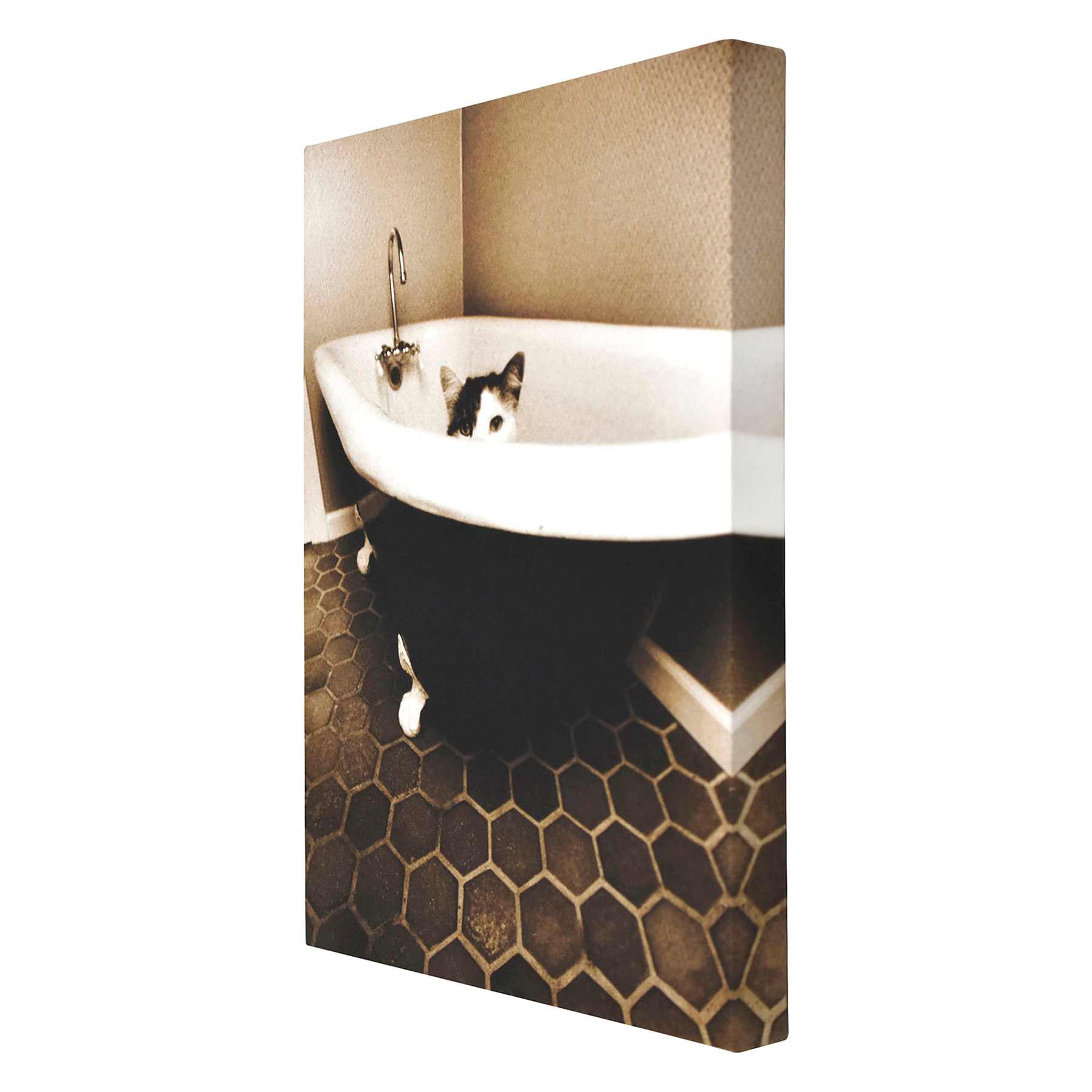 Cat in Bath Tub Canvas Wall Art, 12x16