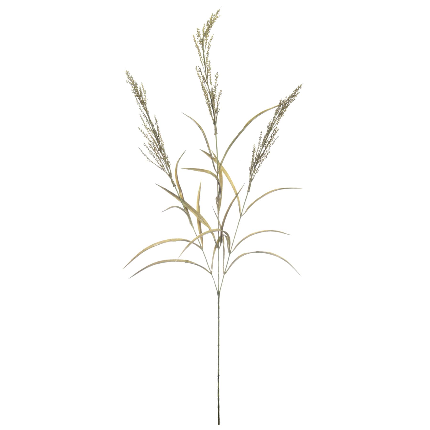 Green Dried Heather Spray, 33"