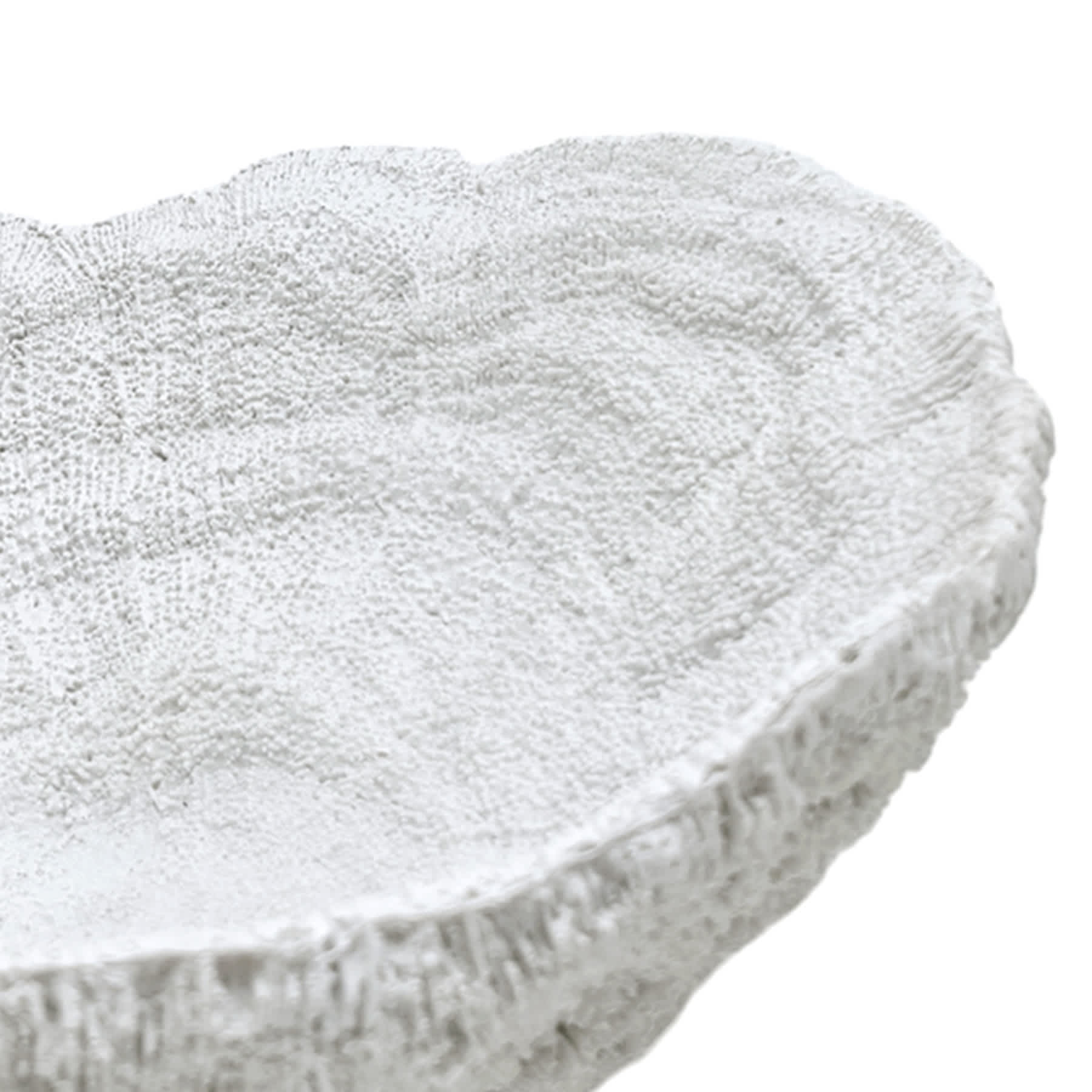 Ty Pennington White Seashell Tray, 13.4x7