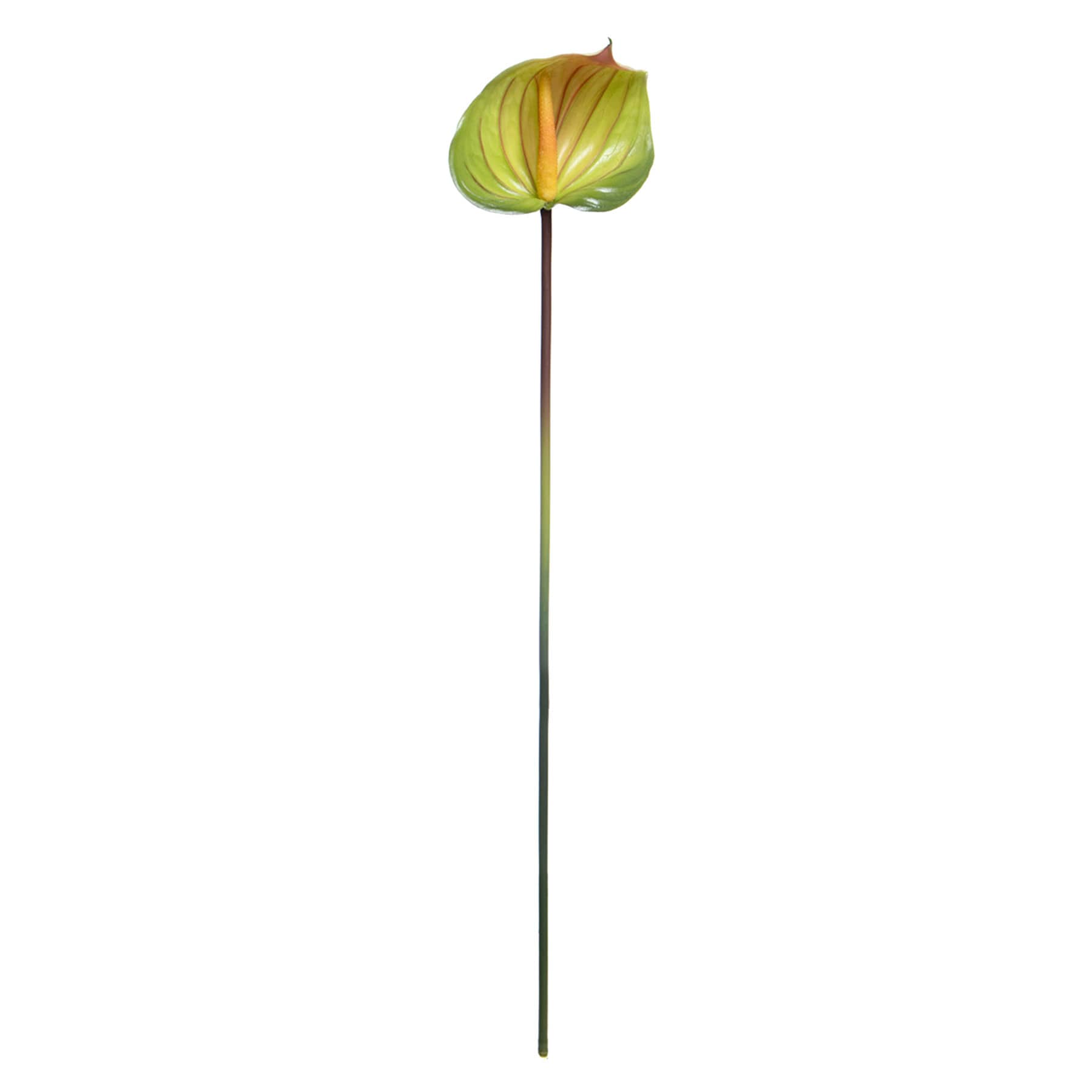Anthurium Stem, 27"