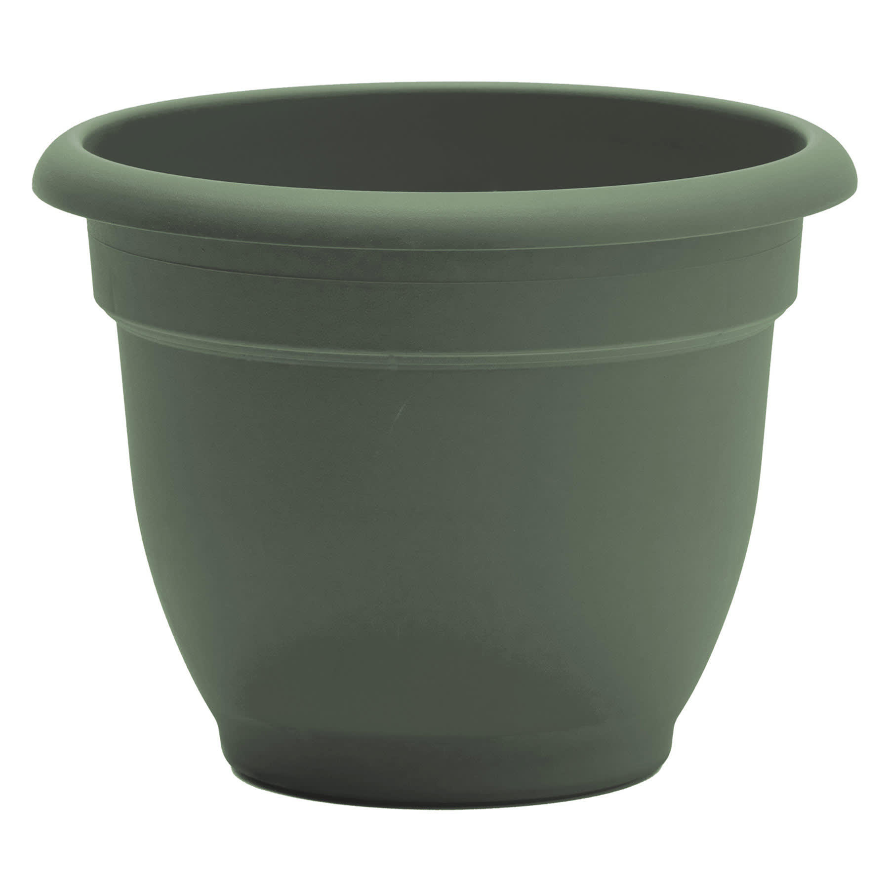 Ariana Basil Outdoor Planter, 10"