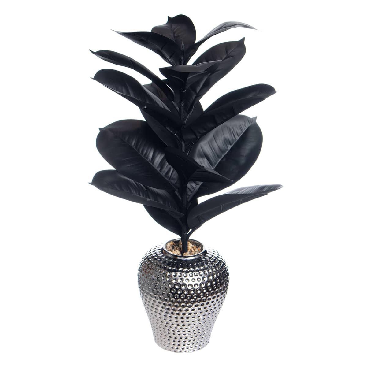 Rubber Plant in Metallic Pot, 23"