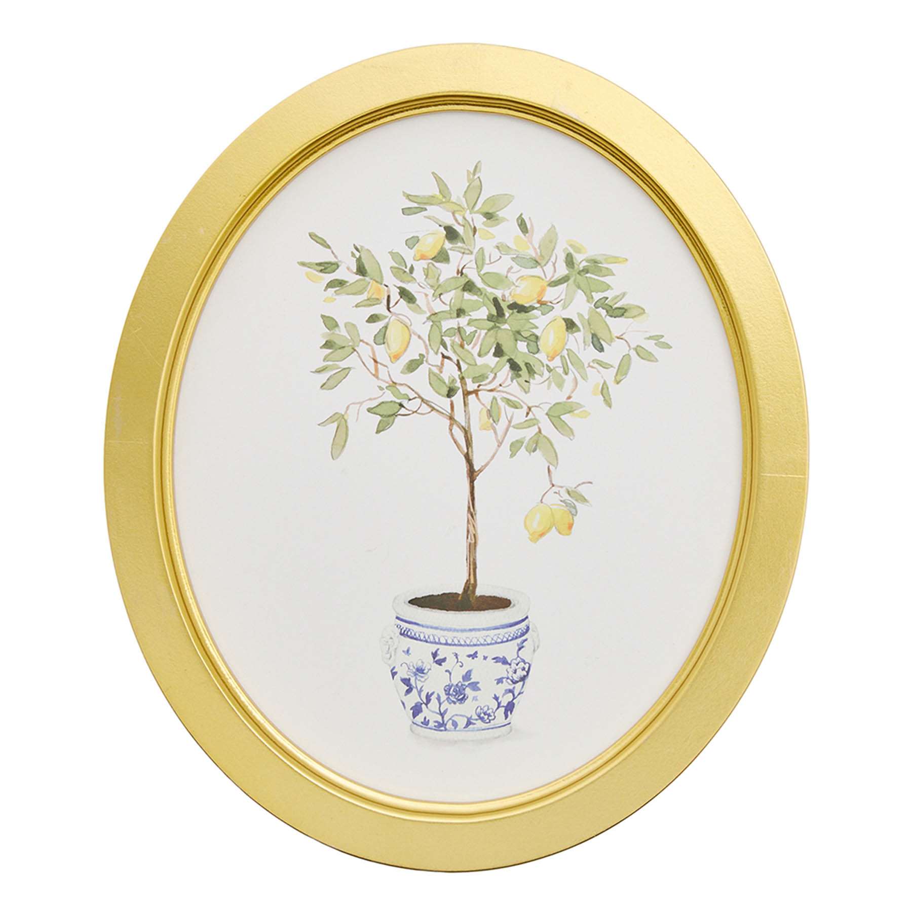 Providence Framed Lemon Tree Canvas Wall Art, 10x12