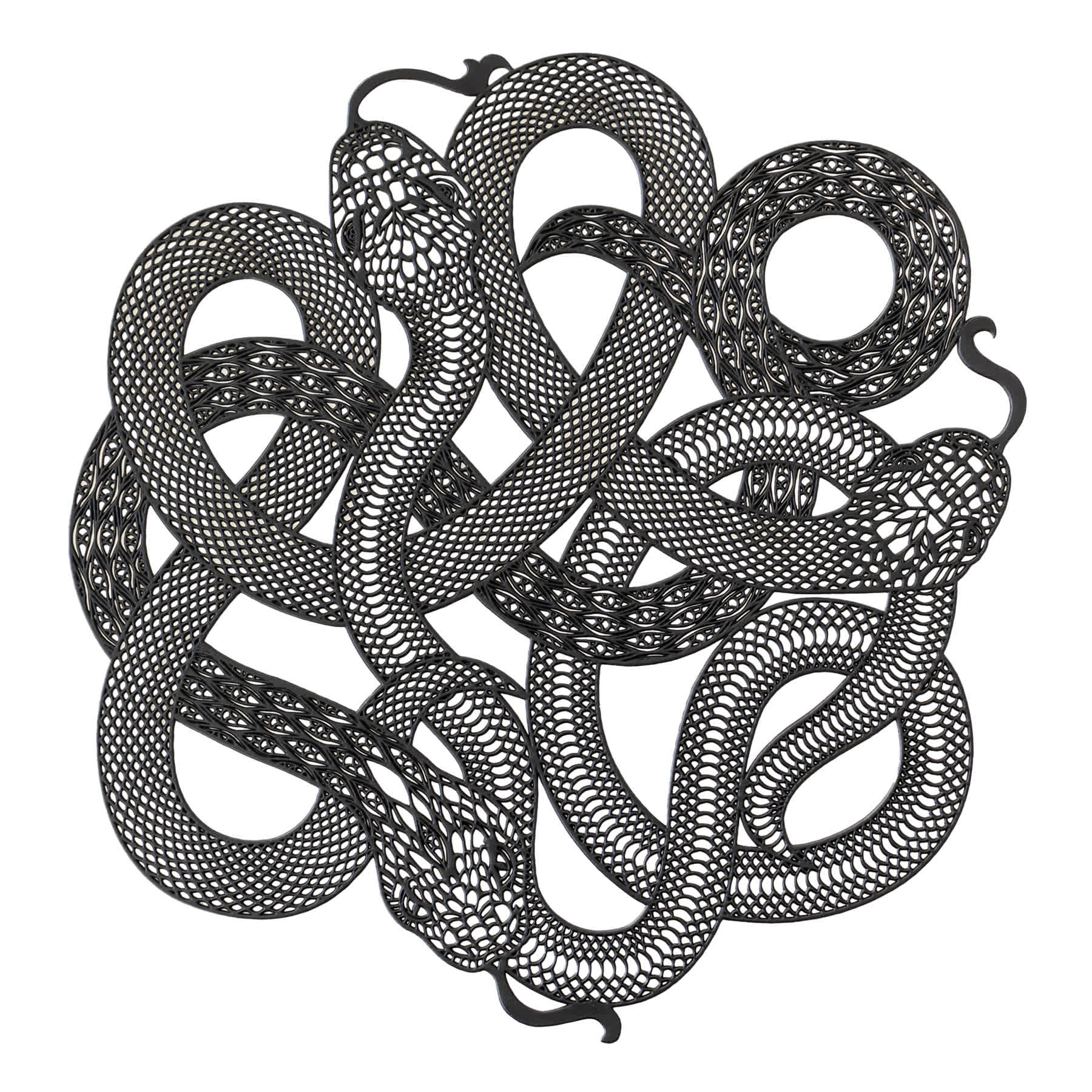 Spellbound Snake Vinyl Placemat