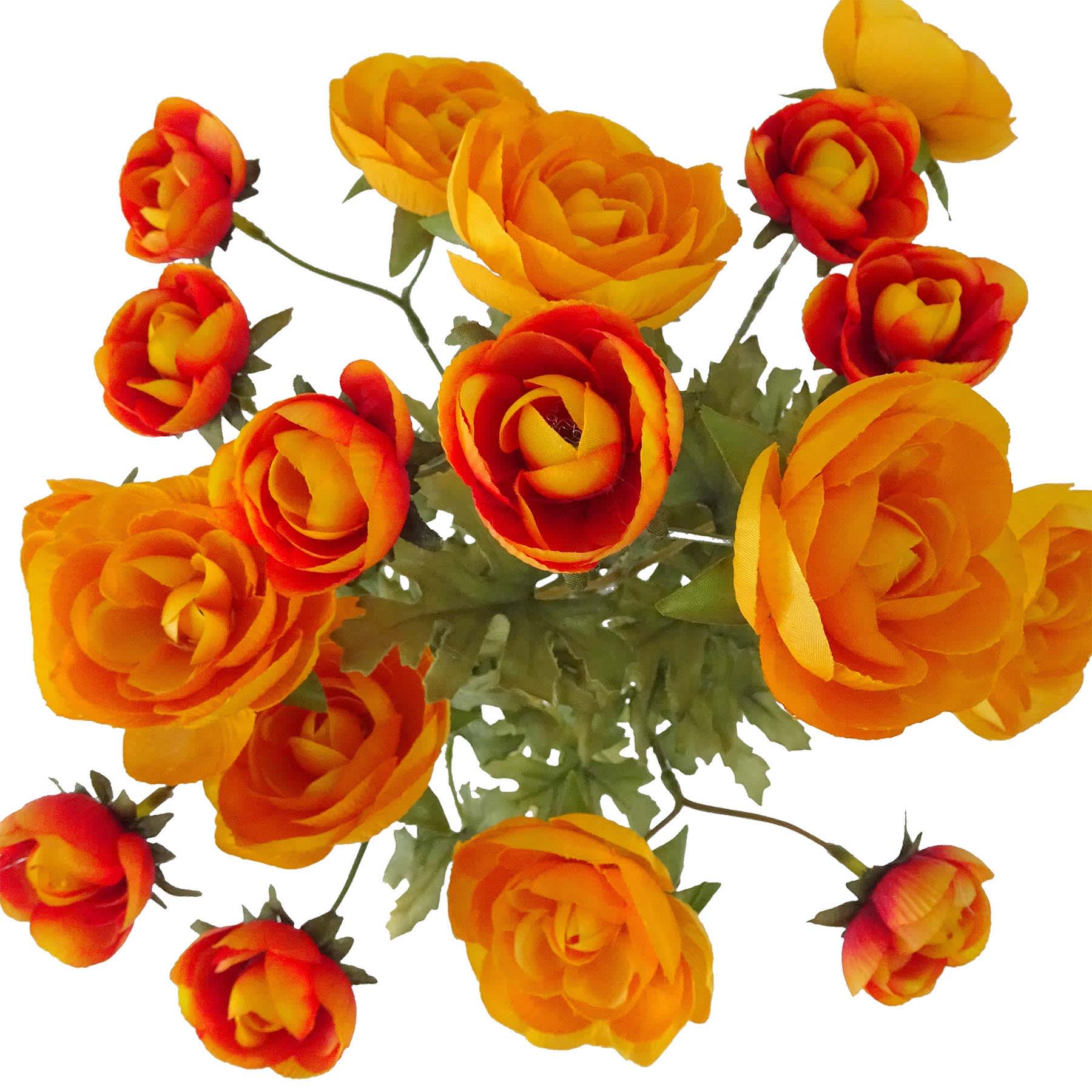 Orange 18-Head Ranunculus Bush, 18"