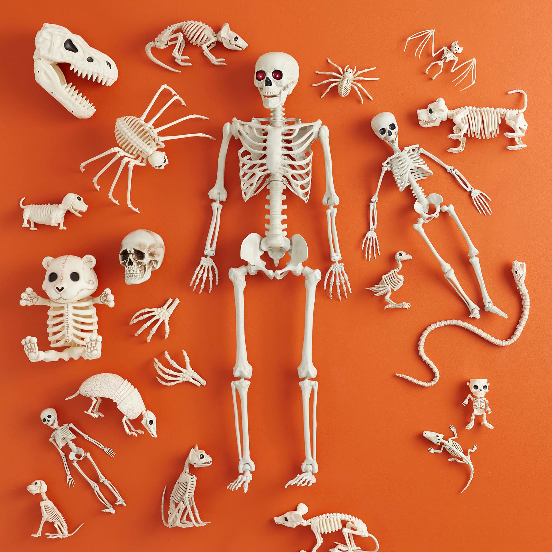 Halloween Crow Skeleton, 7.5"