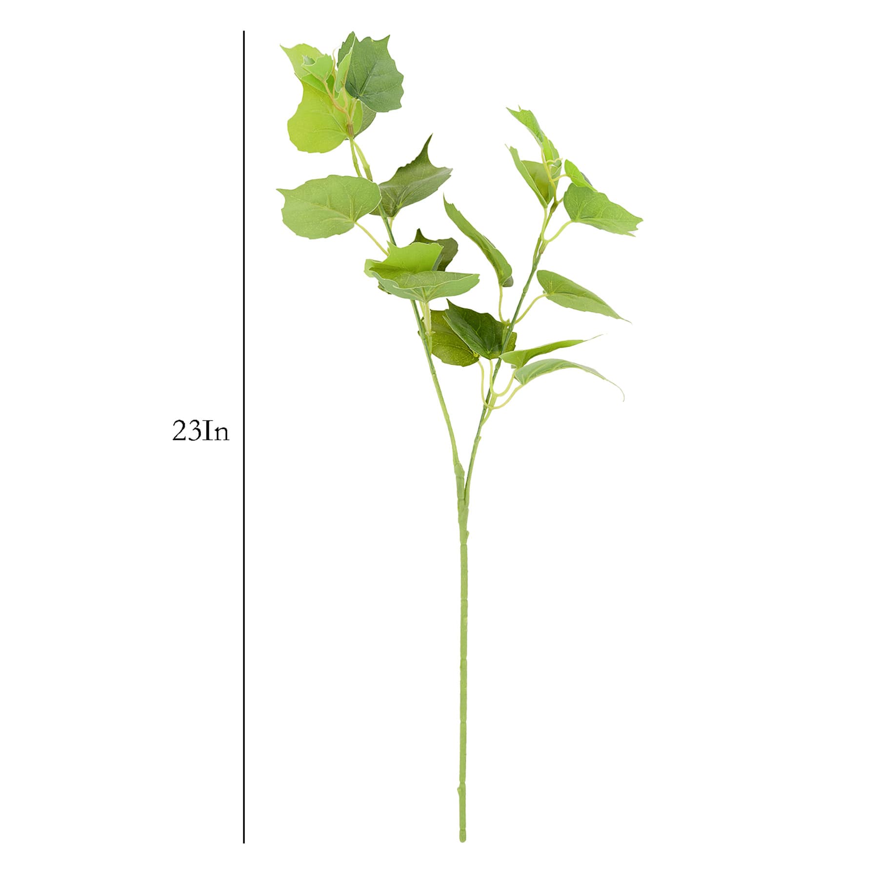 Tomentosum Geranium Stem, 23"