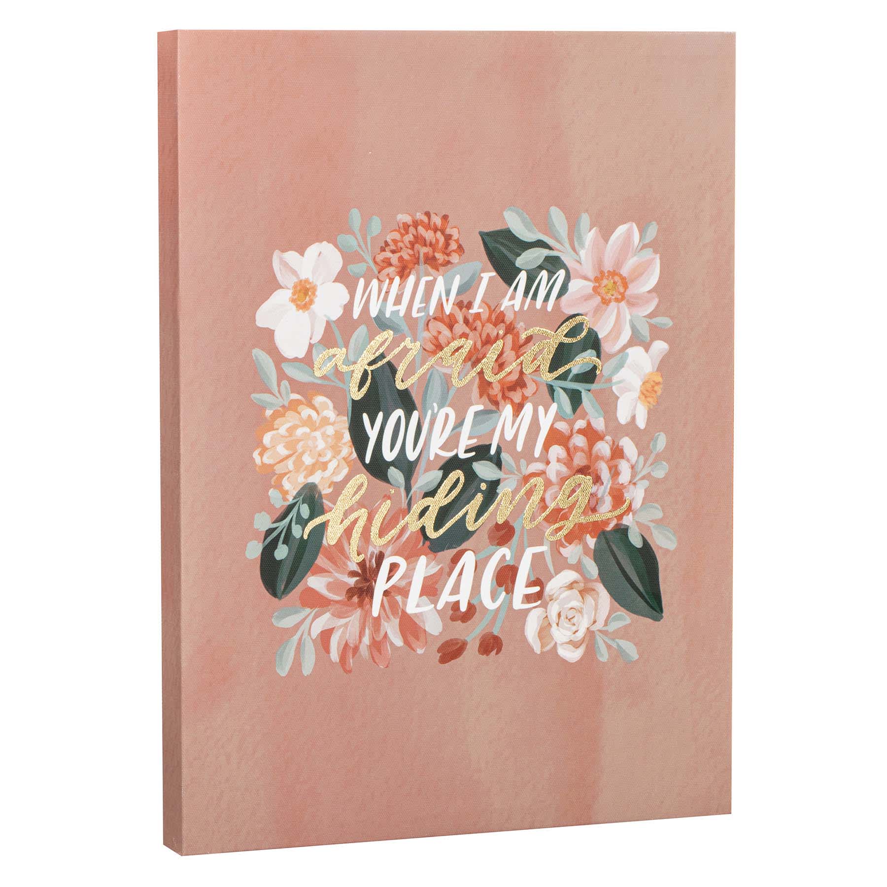 Hiding Canvas Wall Art, 12x16