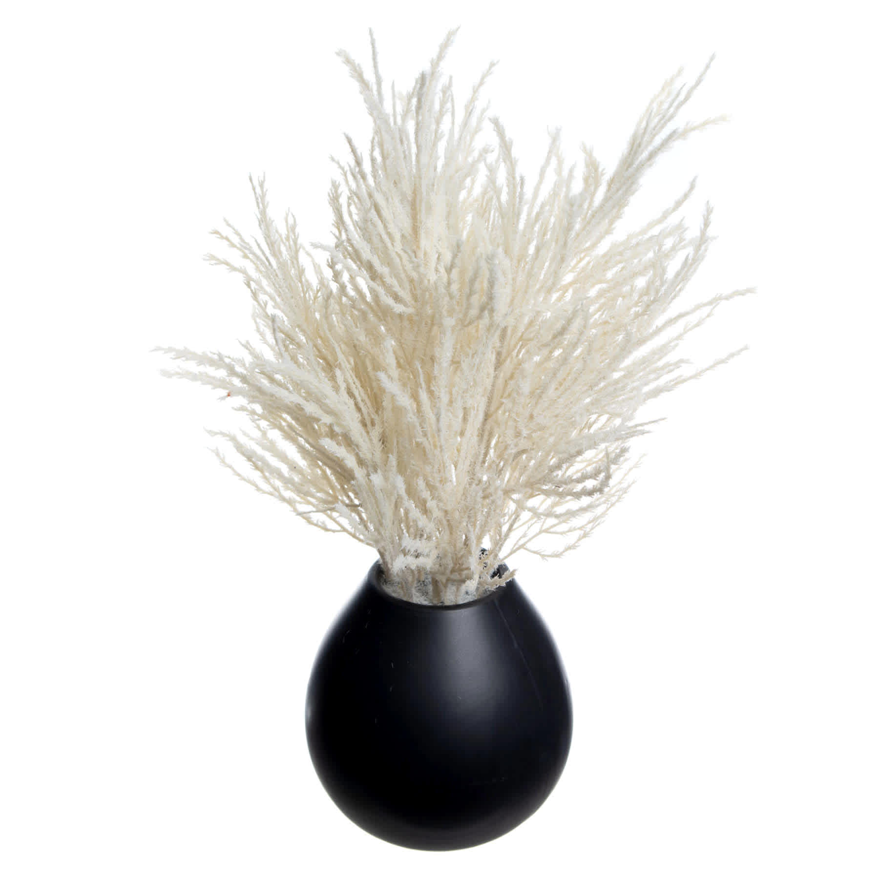 Crosby St. White Pampas Grass in Black Pot, 16"