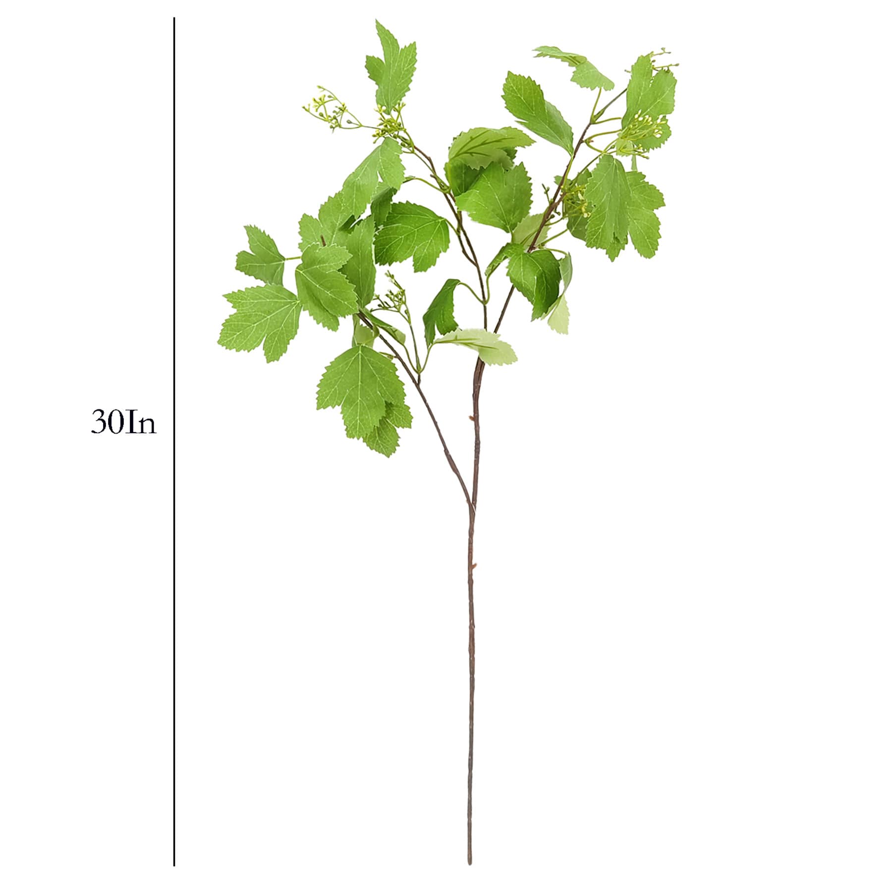 Flowering Stem, 30"