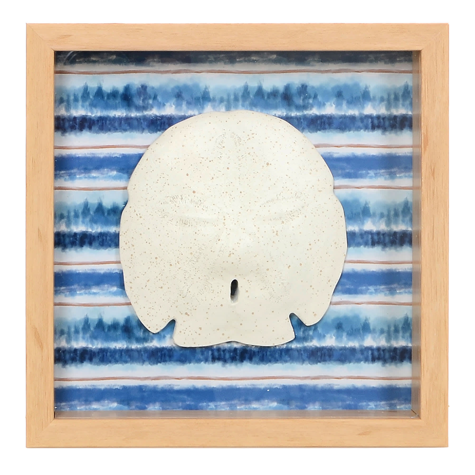Ty Pennington Blue Framed Sand Dollar, 8"