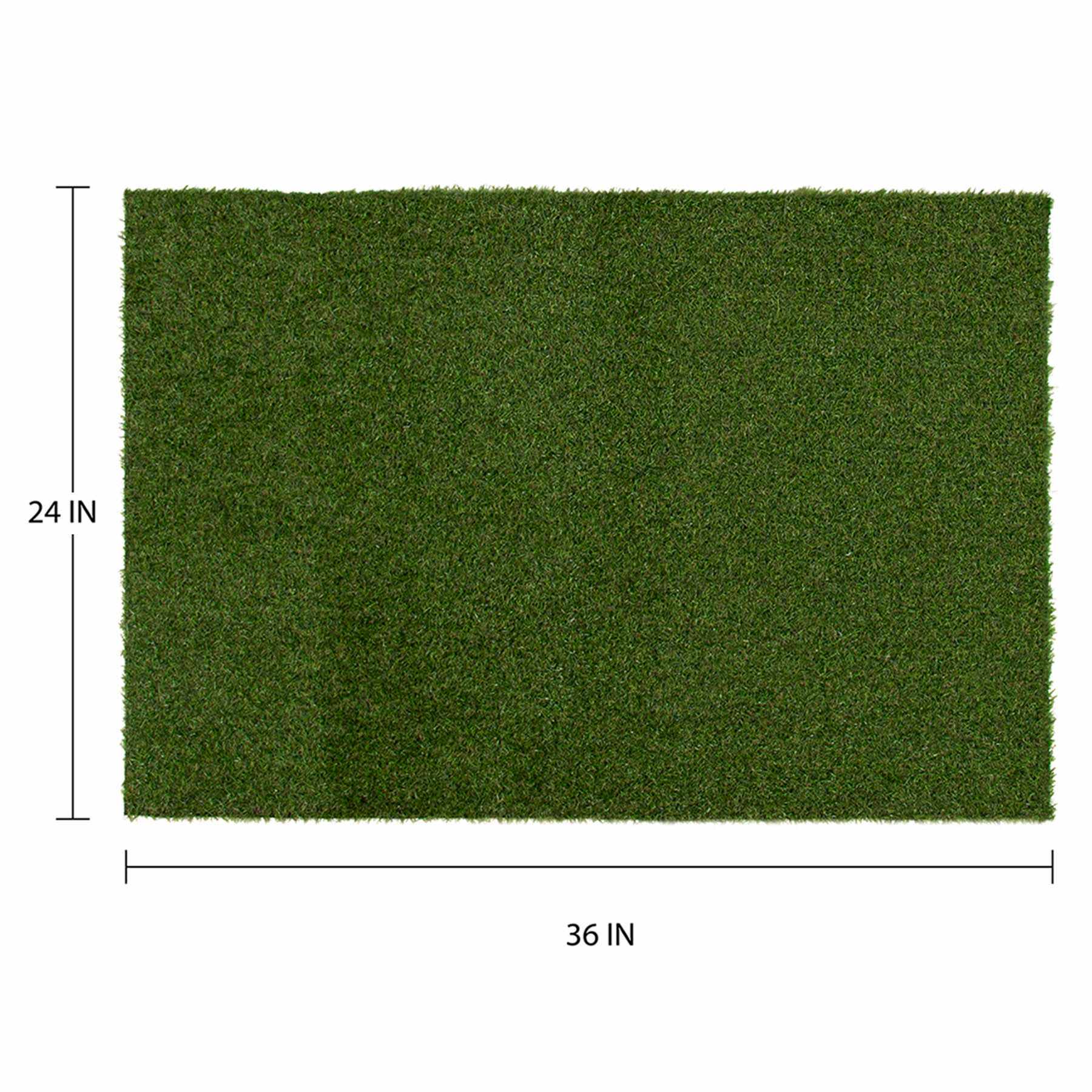 Artificial Turf, 24x36