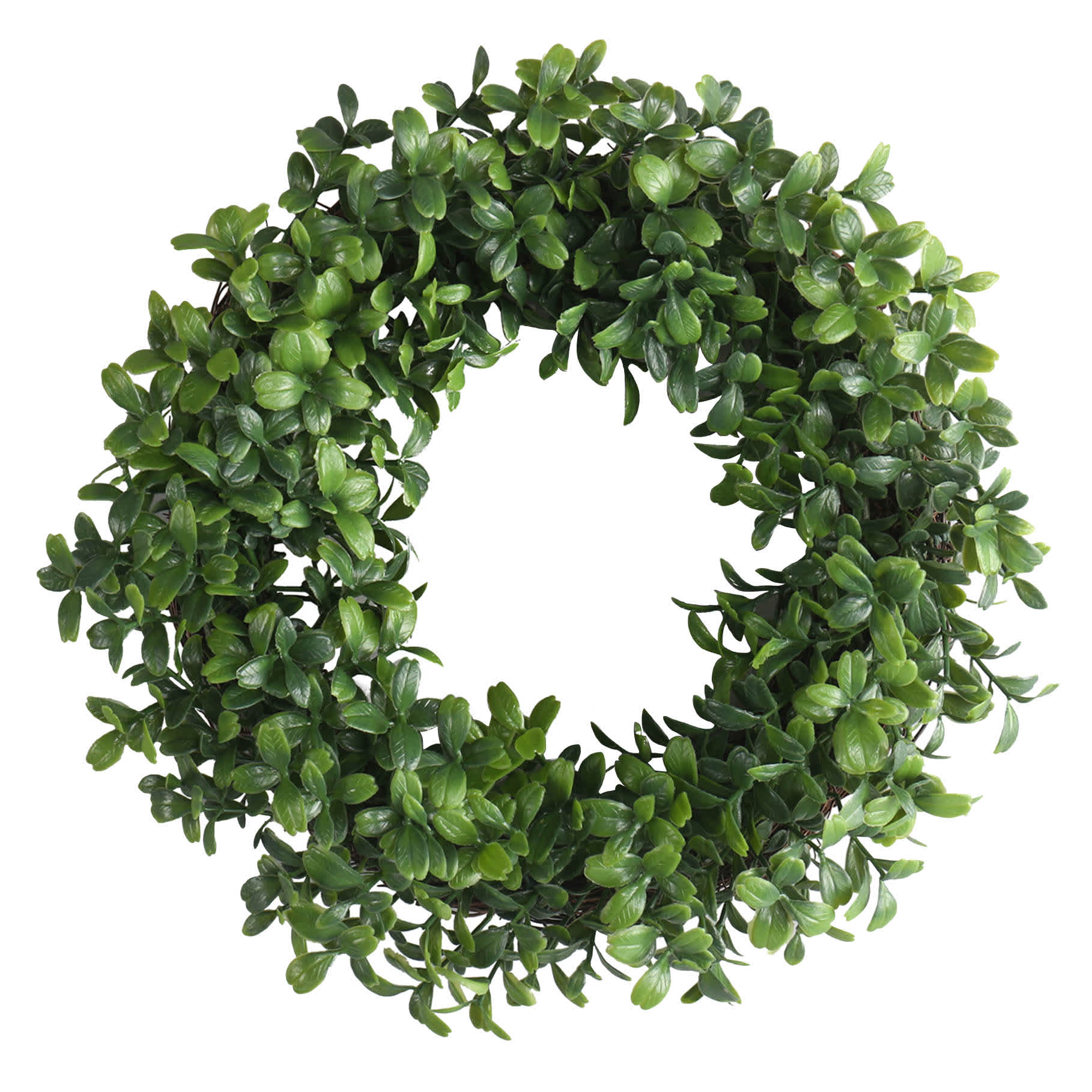 Boxwood Wreath, 10"