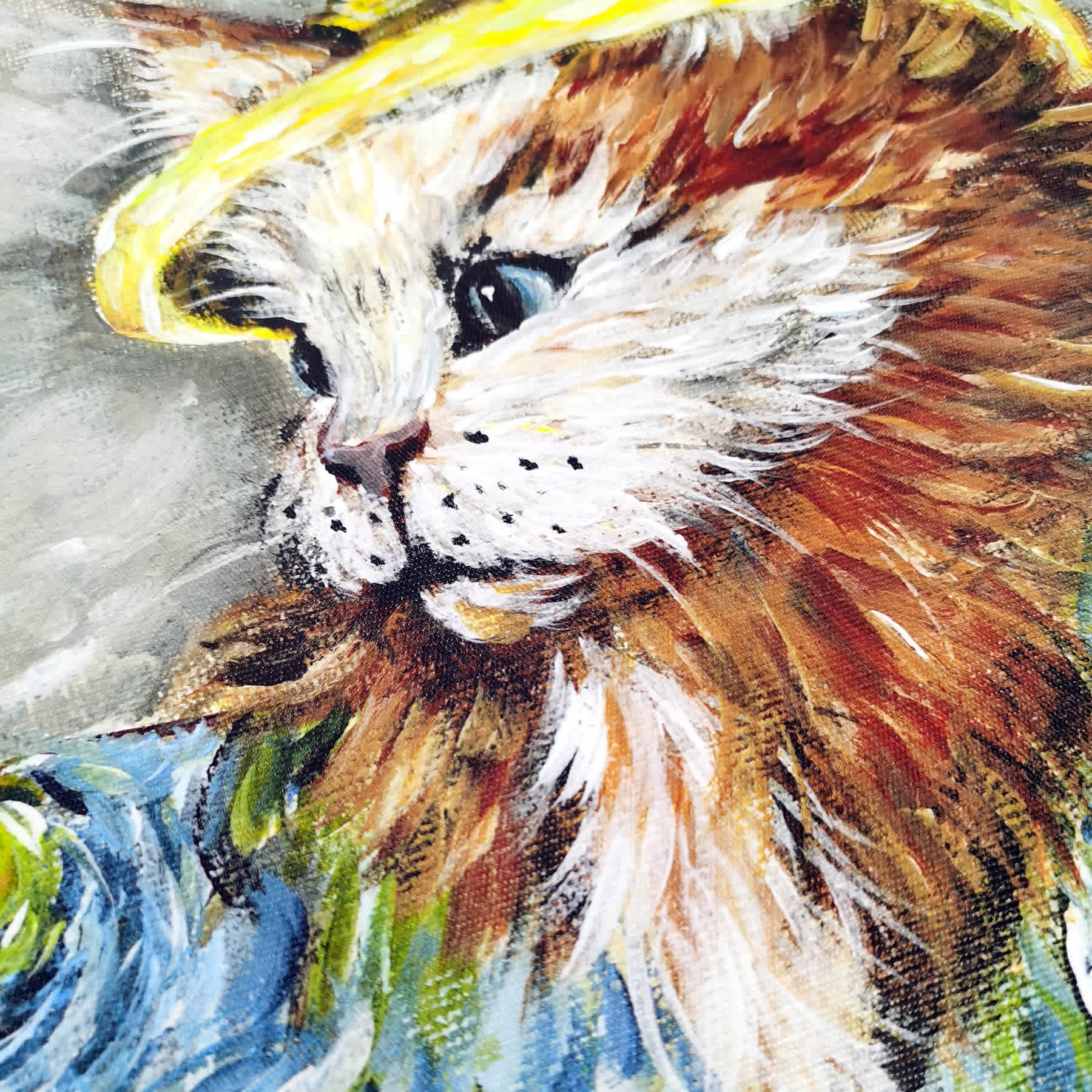 Starry Eyed Cat Canvas Wall Art, 12x16