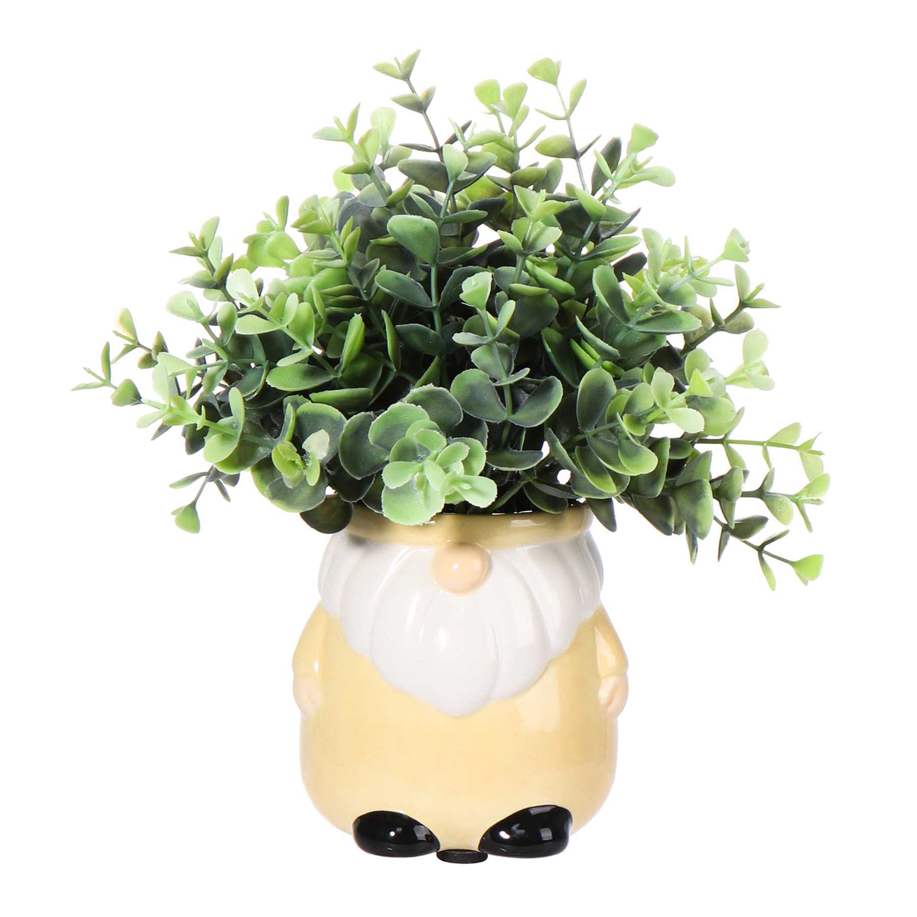Eucalyptus in Yellow Gnome Pot