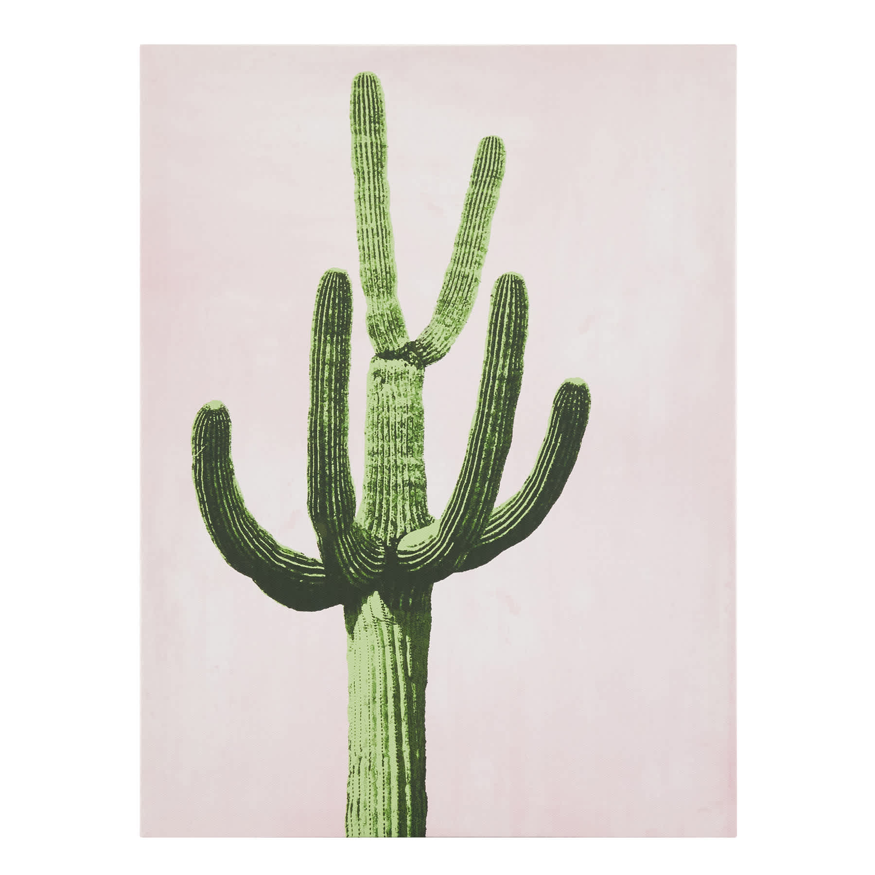 Cactus Canvas Wall Art, 12x16