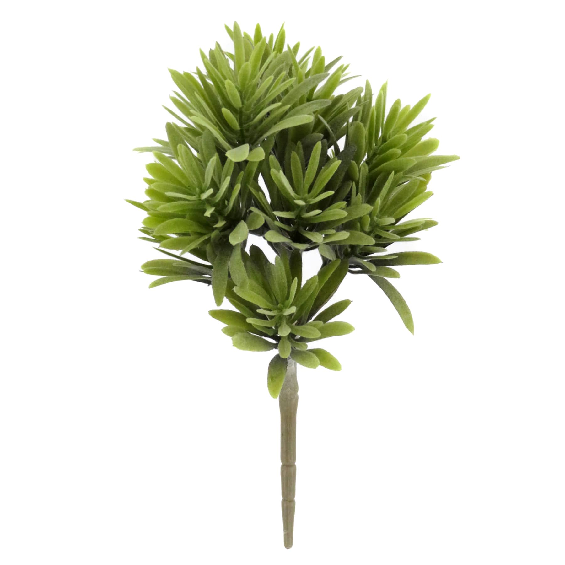 Green Jade Plant Stem, 9.5"