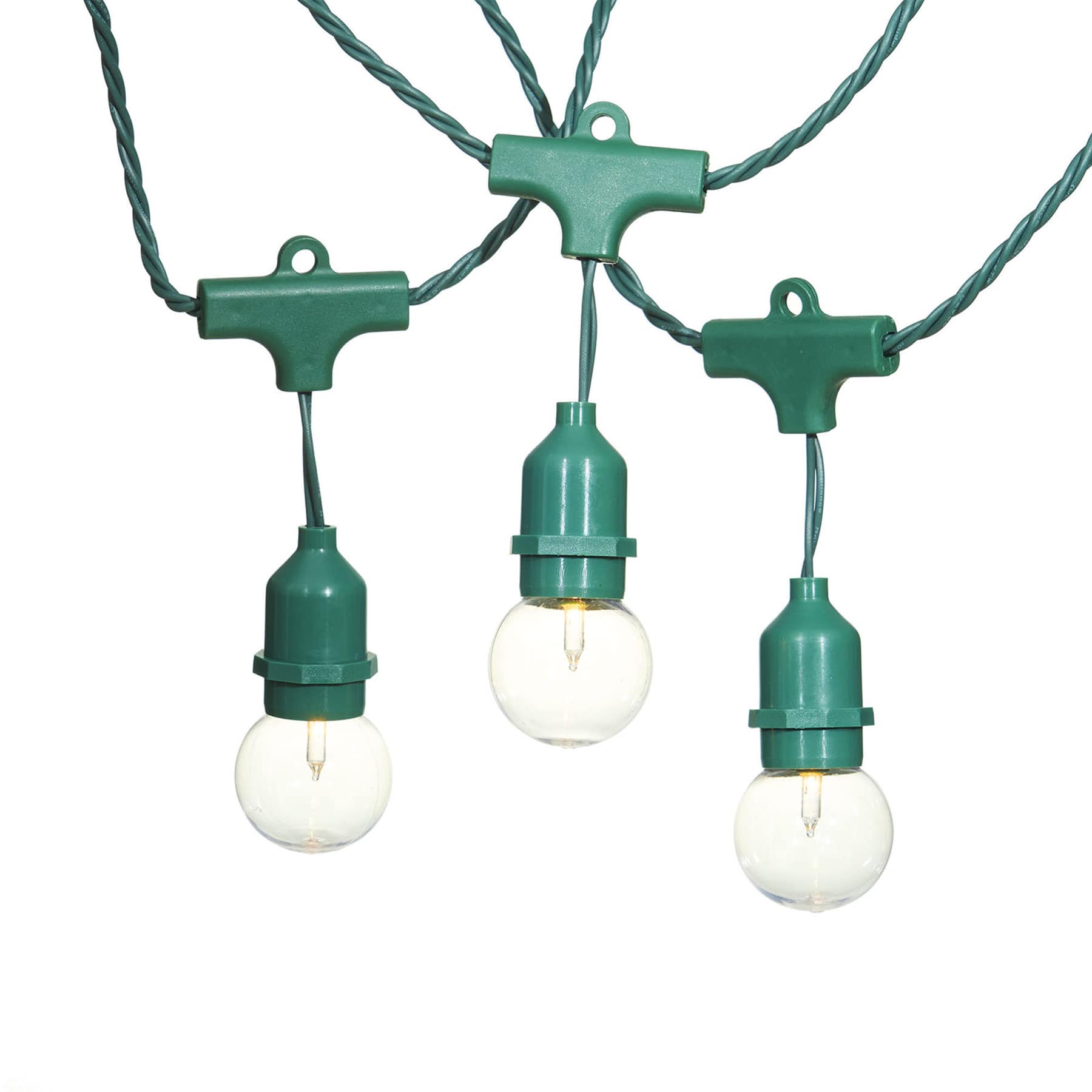 30-Count Clear G40 Globe String Lights with Green Commercial Wire