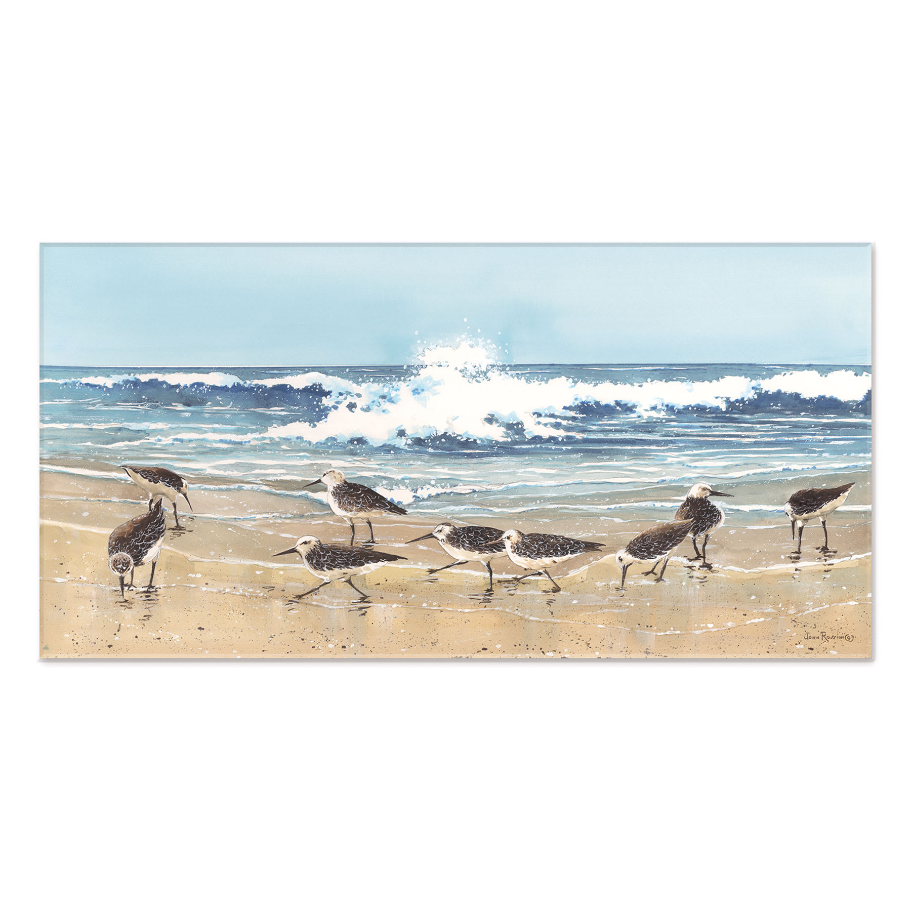 Honeybloom Sandpiper Canvas Wall Art, 18x36