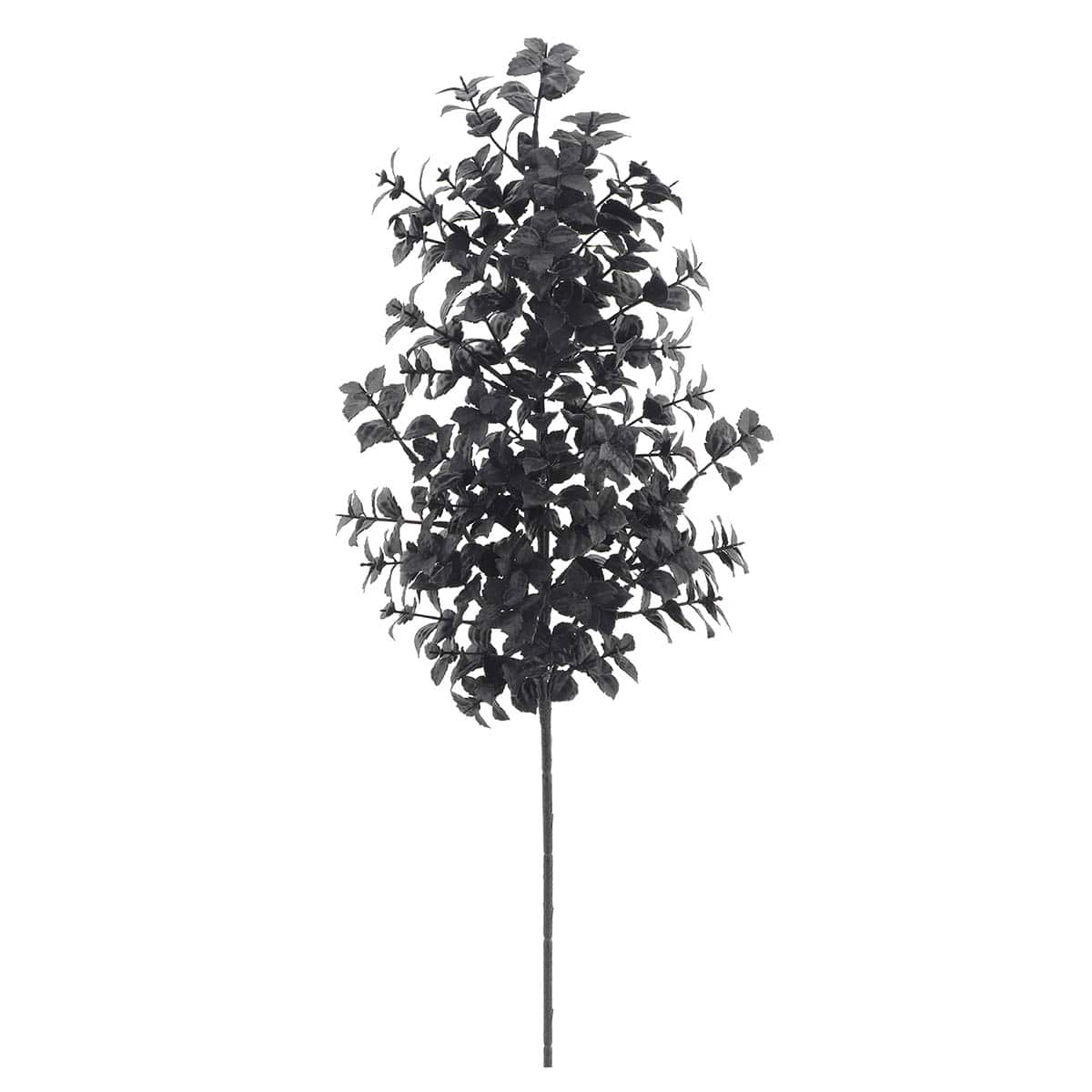 Midnight Shadows Black Boxwood Stem, 25.5"
