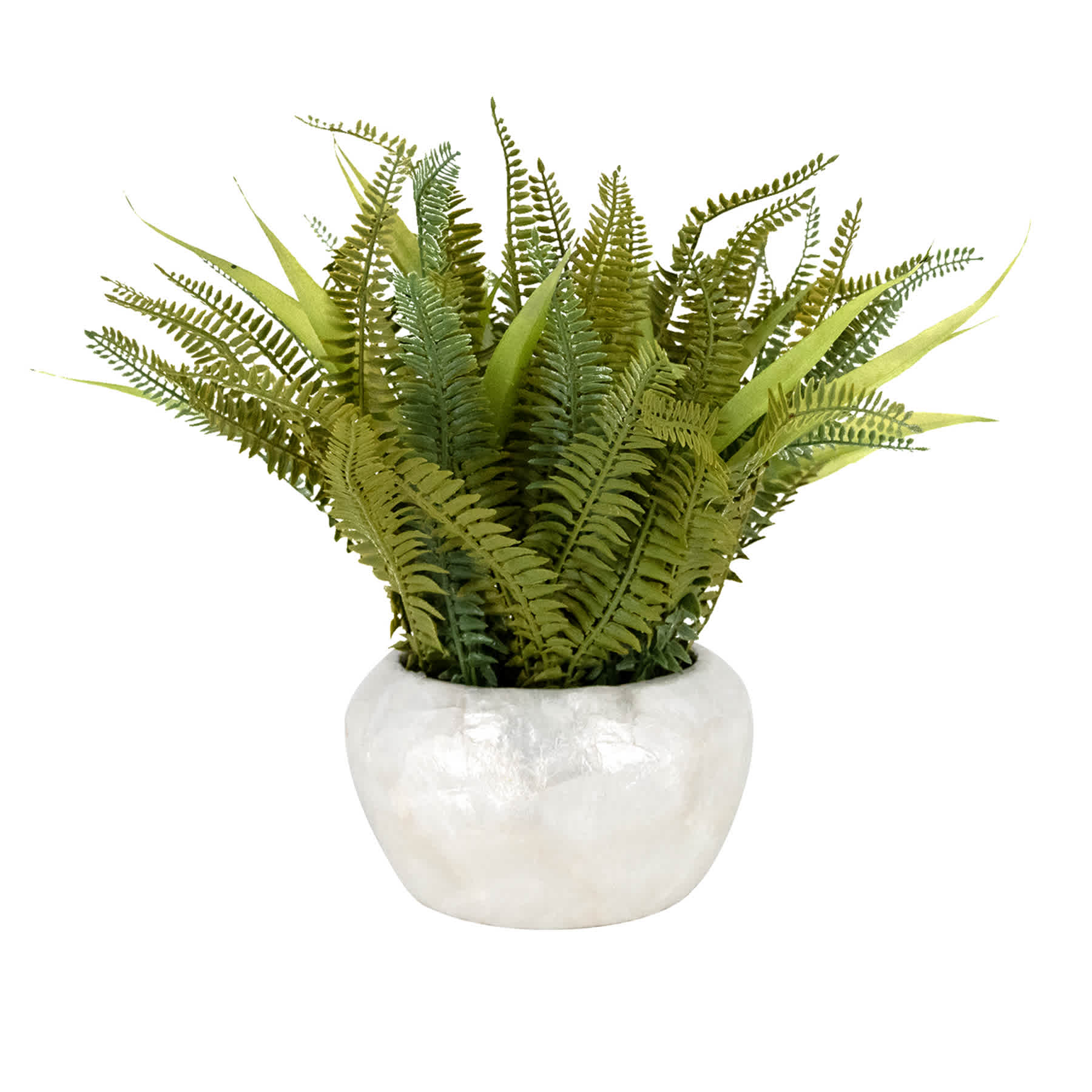 Fern in Pearlescent Pot, 14"