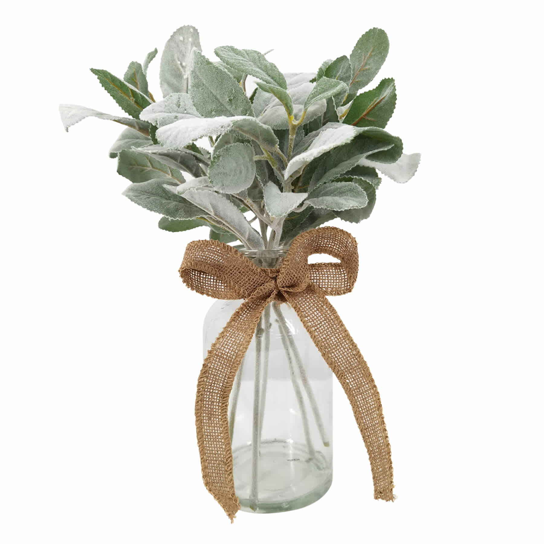 Green Lambs Ear Plant with Glass Vase, 14"