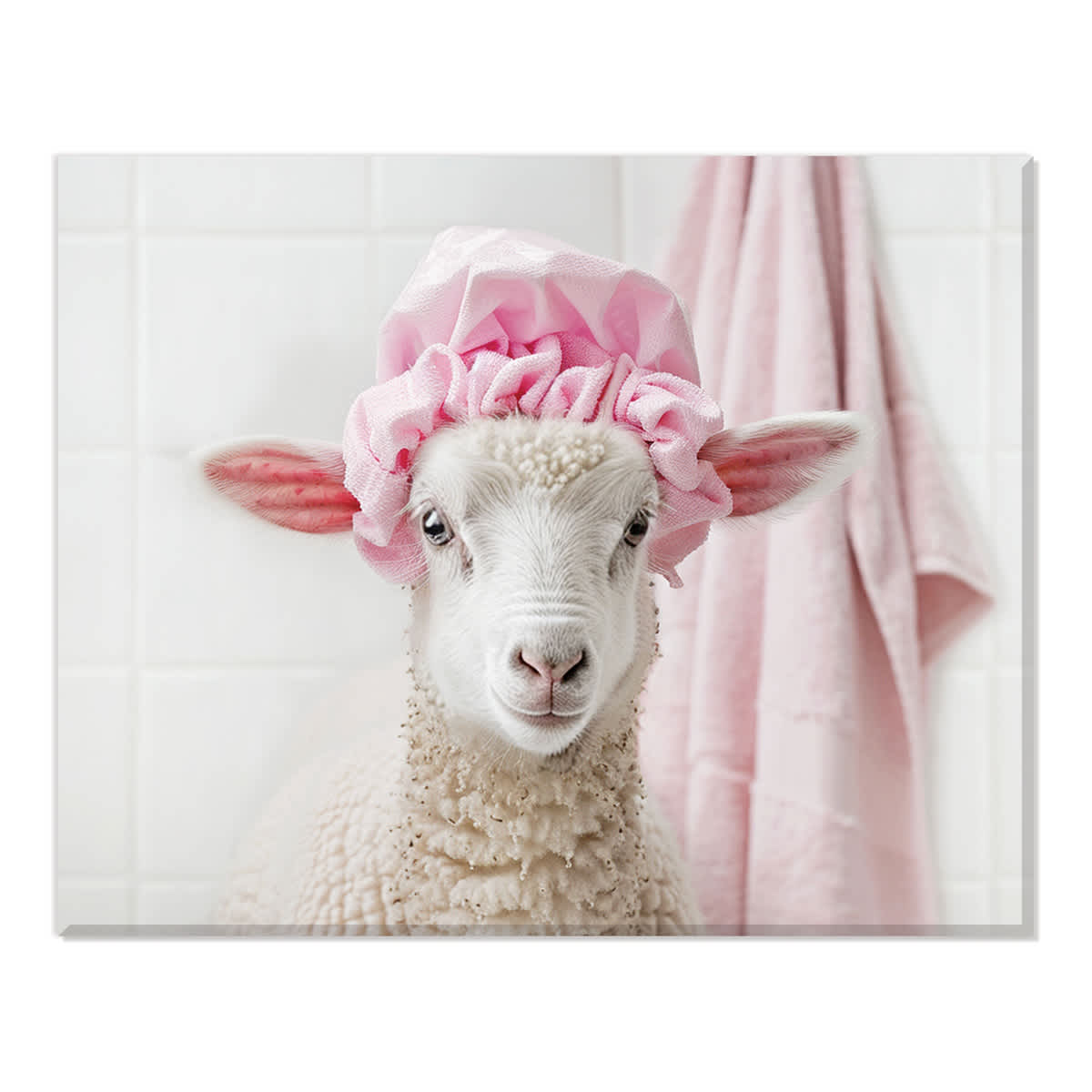 Shower Cap Sheep Canvas Wall Art, 16x20