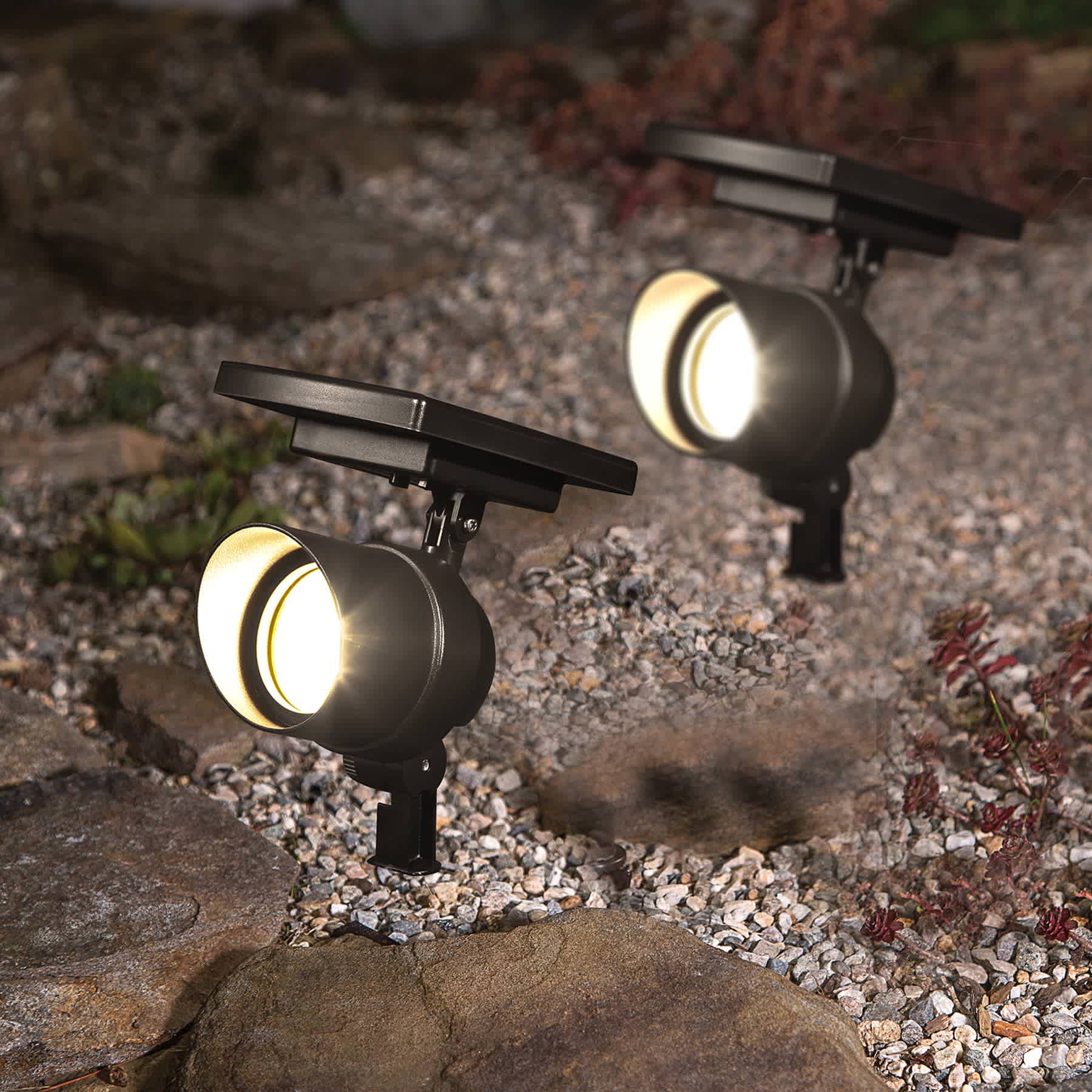 50-Lumen Black Smartfocus Spotlight
