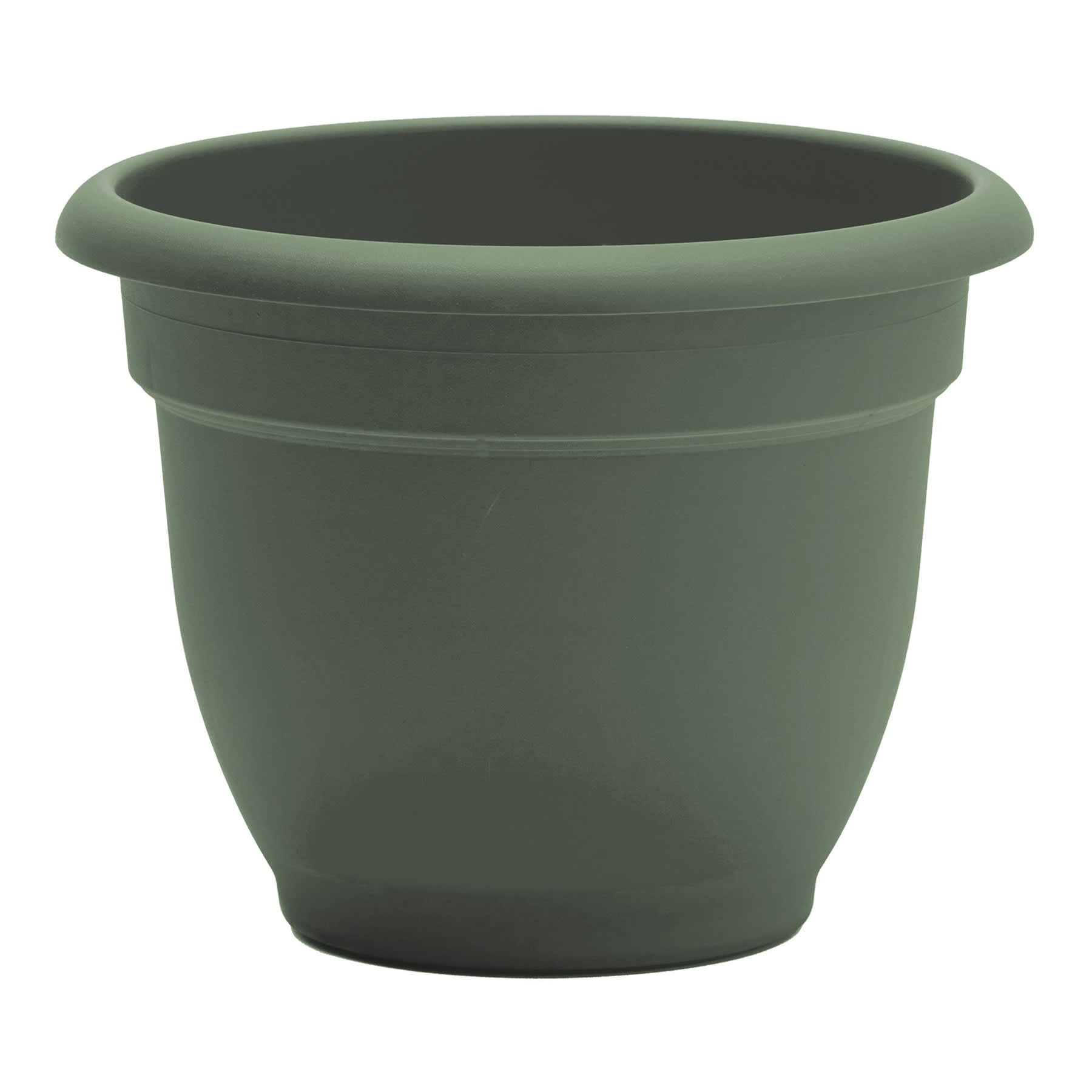 Ariana Basil Outdoor Planter, 6"