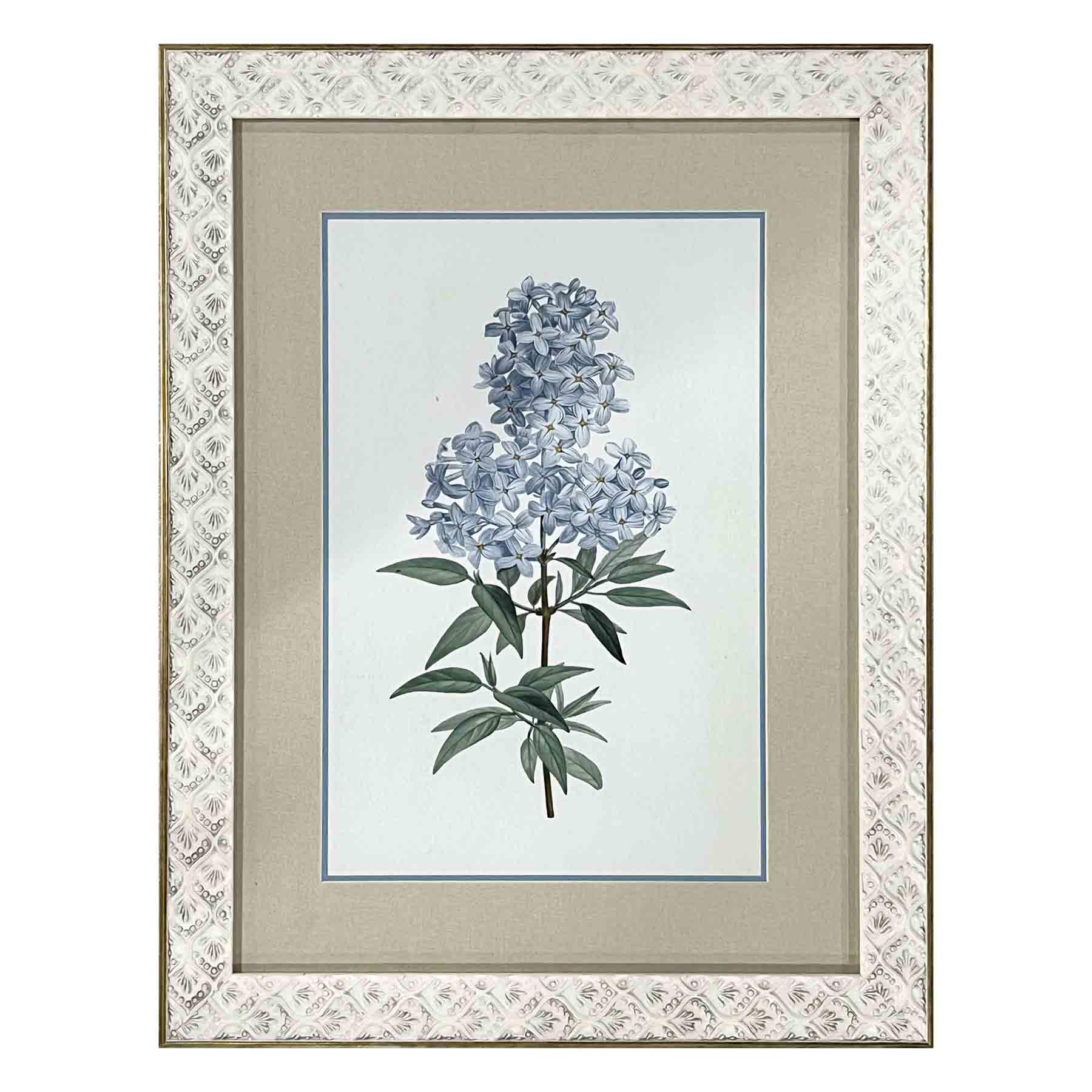 Found & Fable Glass Framed Floral Print Wall Art, 14x18