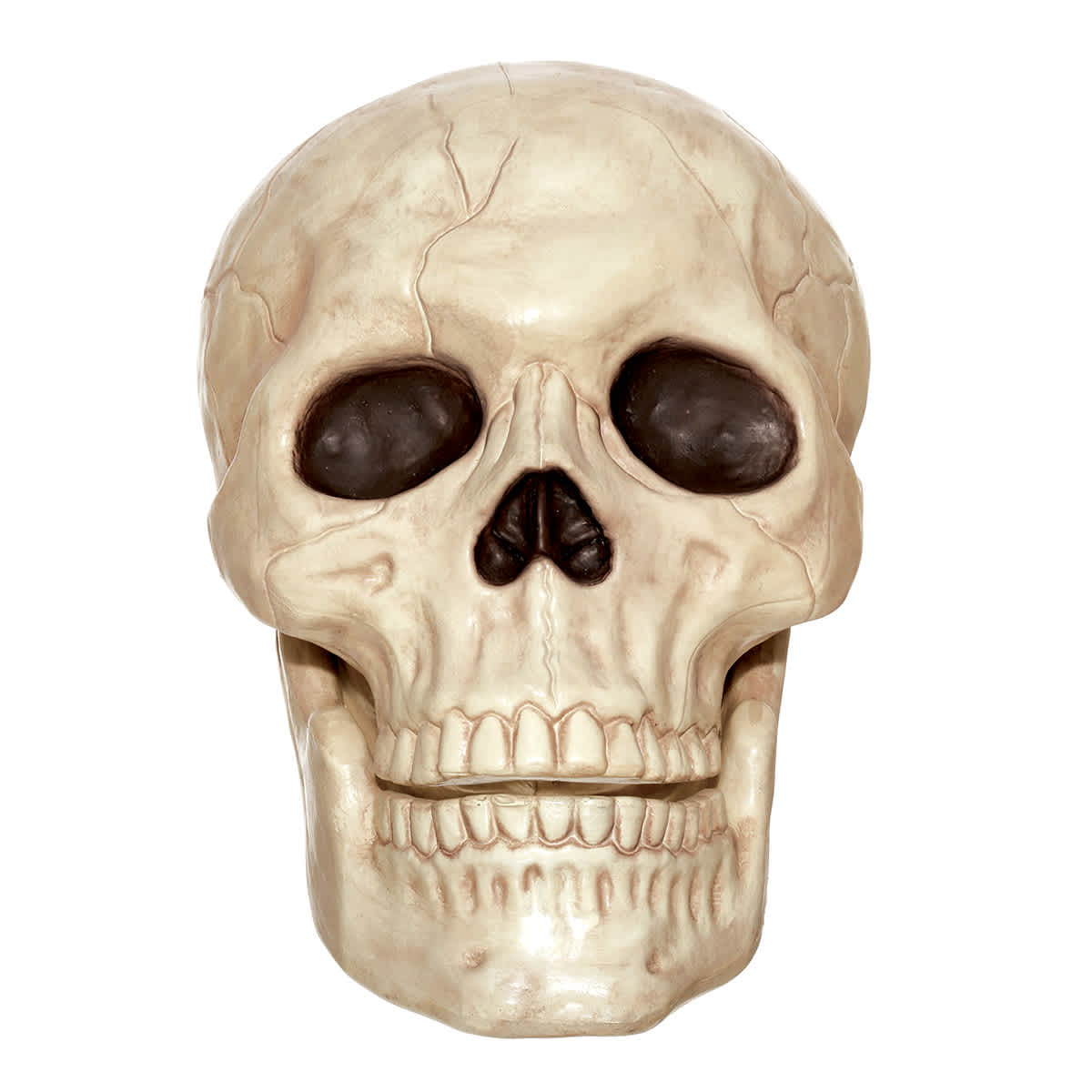 Large Halloween Skull, 10"
