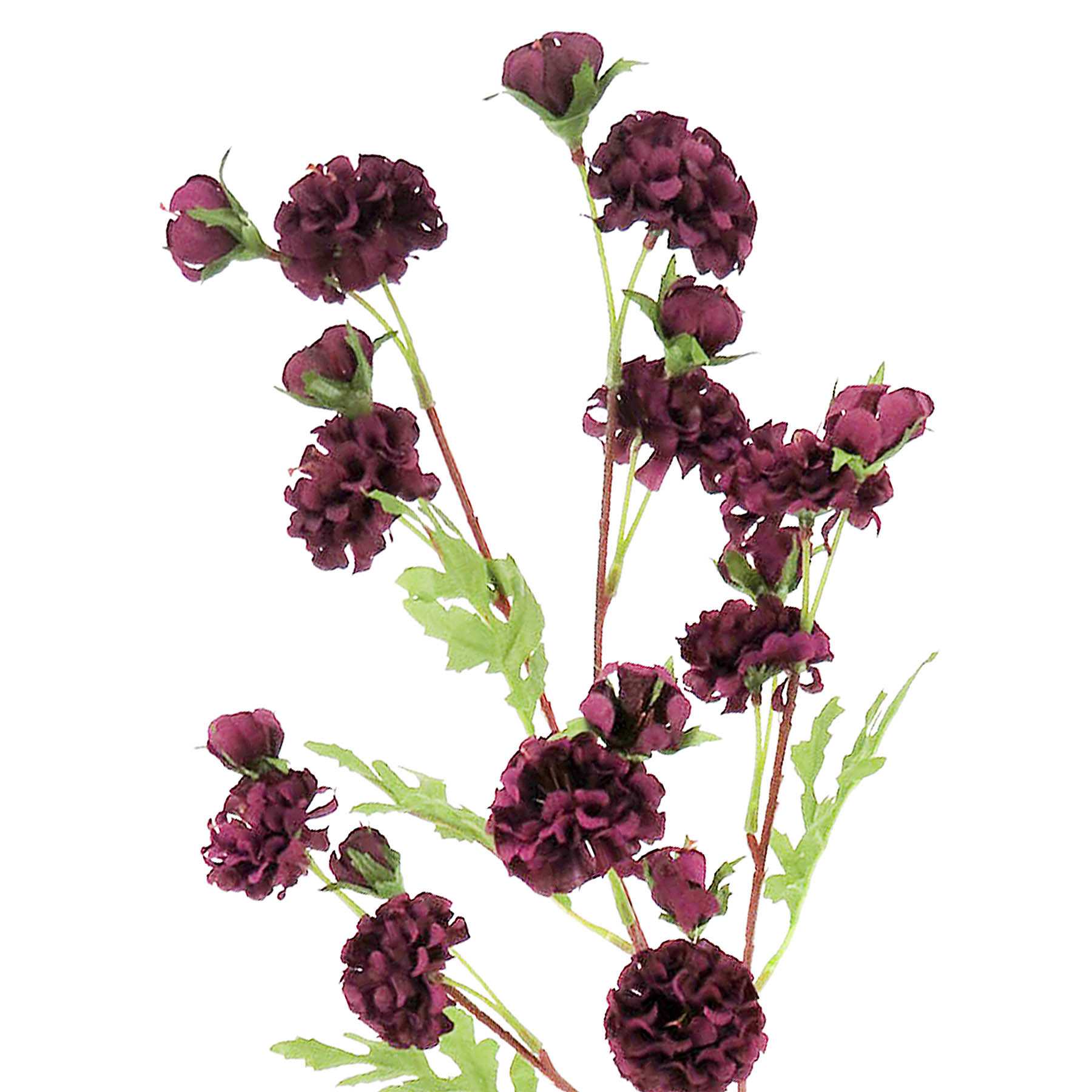 Purple Mini Nest Mum Spray, 31"
