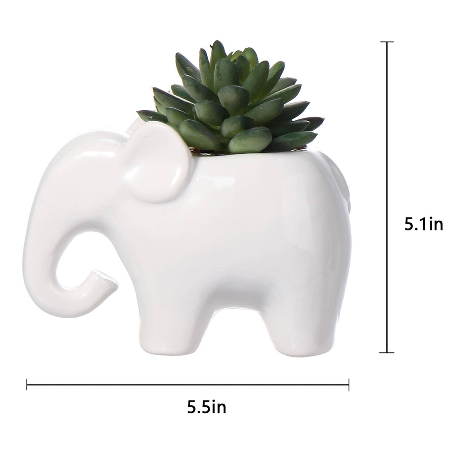 Mini Succulents in Ceramic Elephant Pot