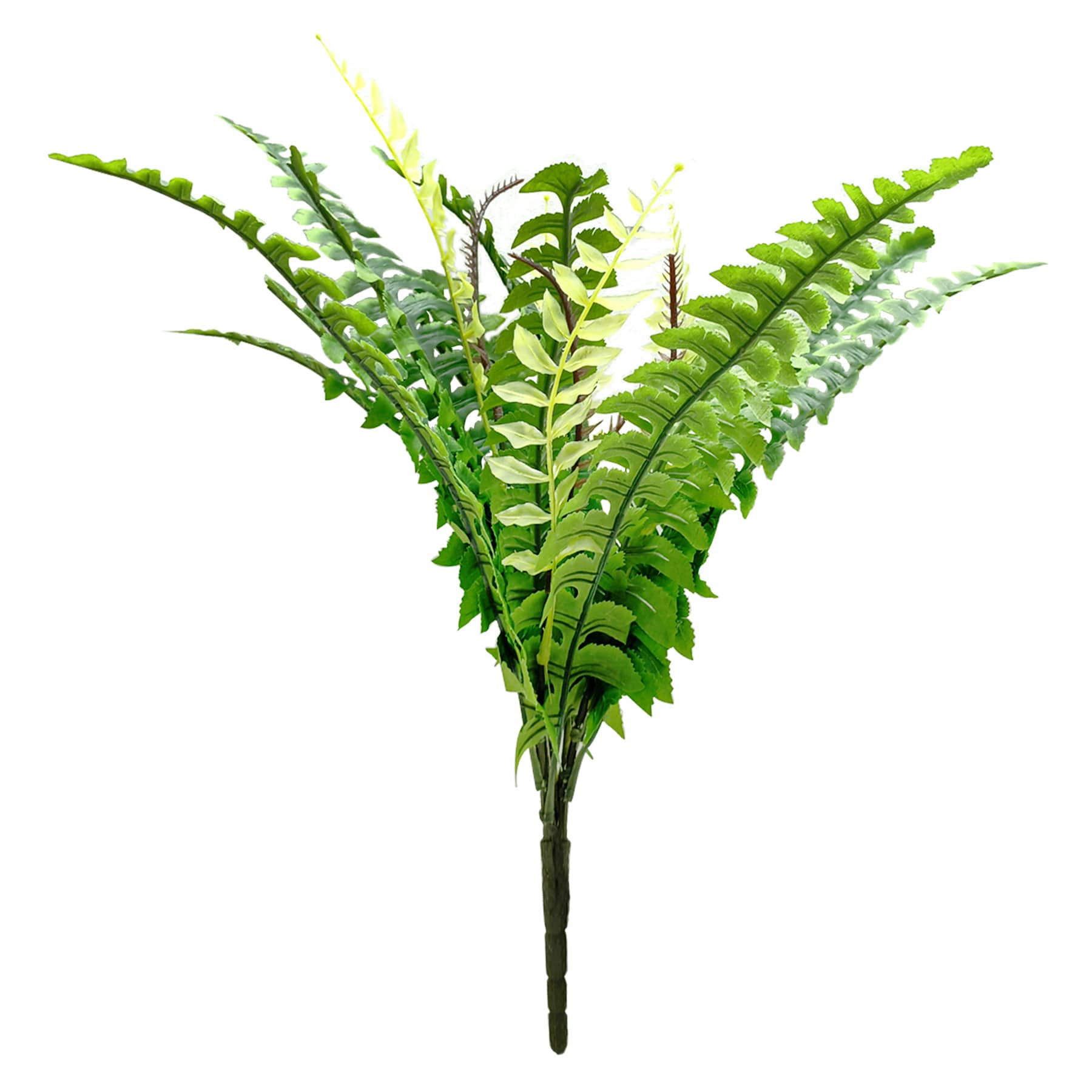 Boston Fern Bush, 19"
