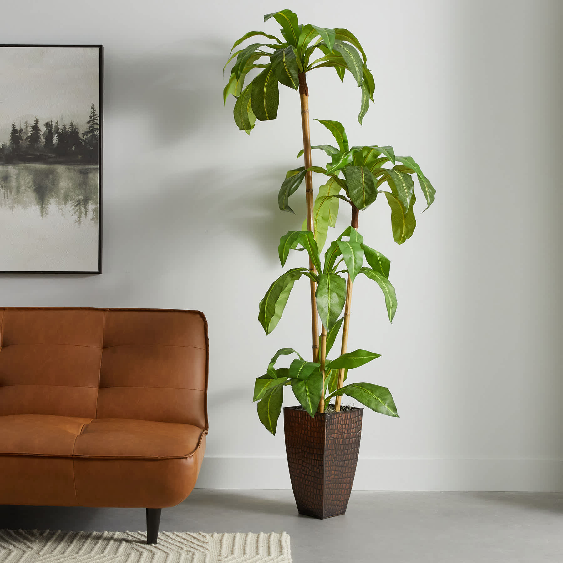 Bird's Nest Fern in Decorative Metal Pot, 6'