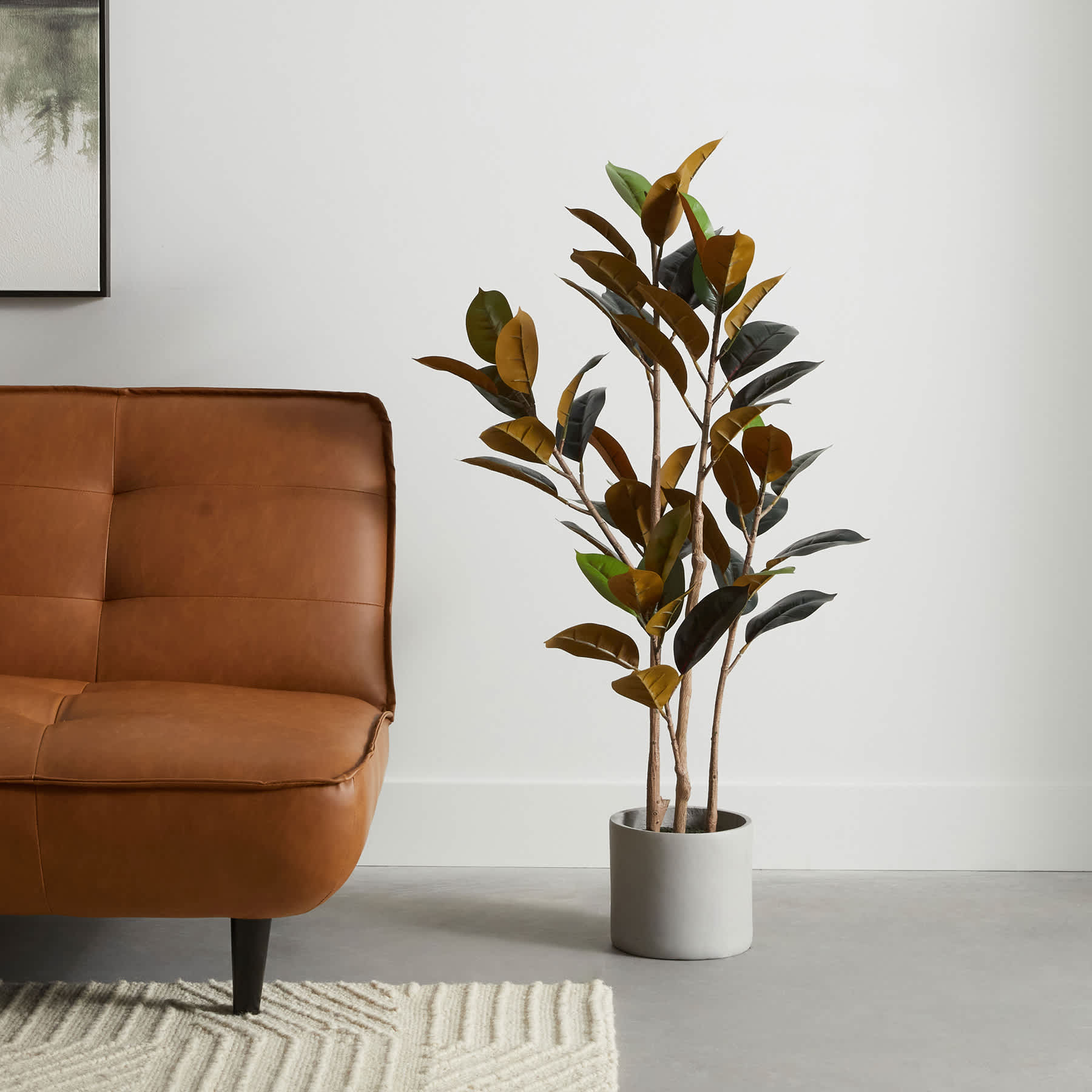 Rubber Tree in Grey Vessel, 48"