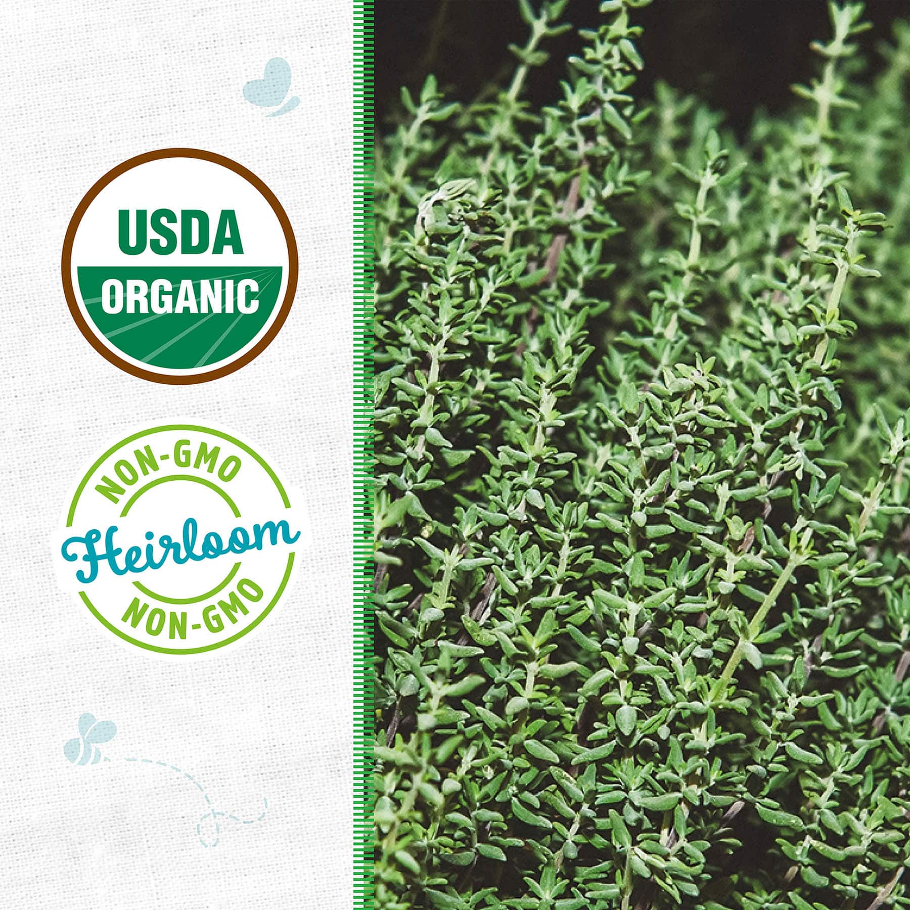 Back to Roots Heirloom Seeds, Thyme English