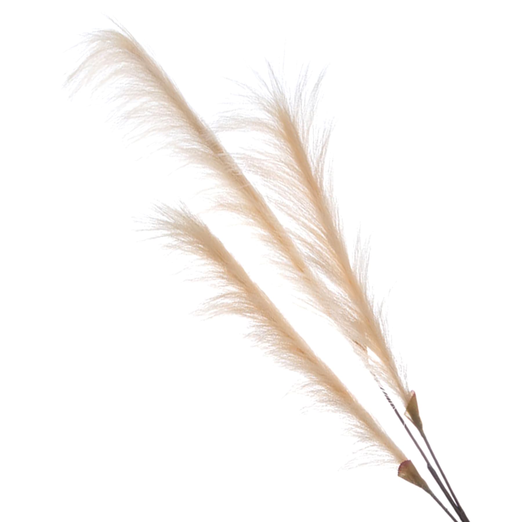 Cream Pampas Grass Spray, 48"