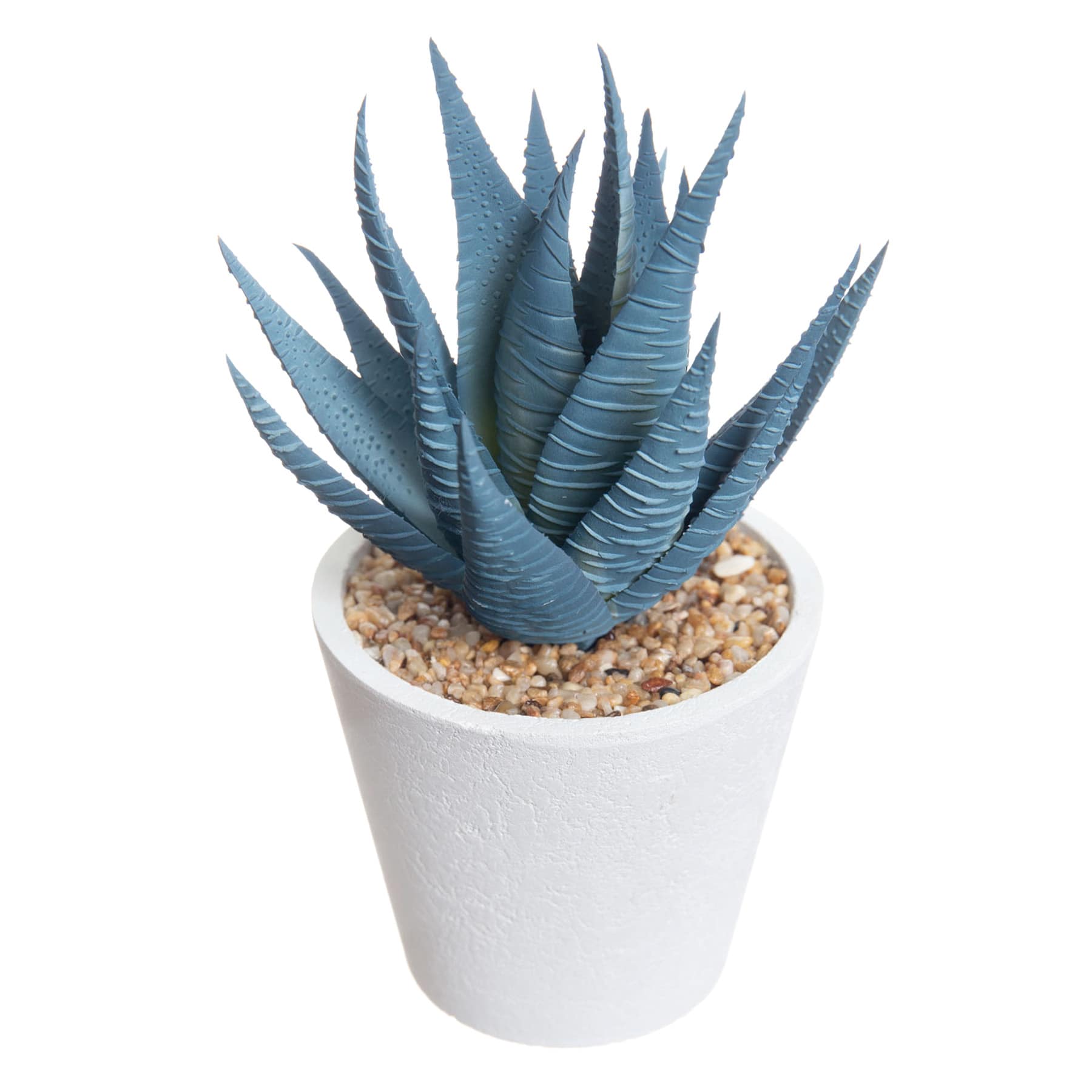 Honeybloom Blue Aloe Plant in White Pot, 6"