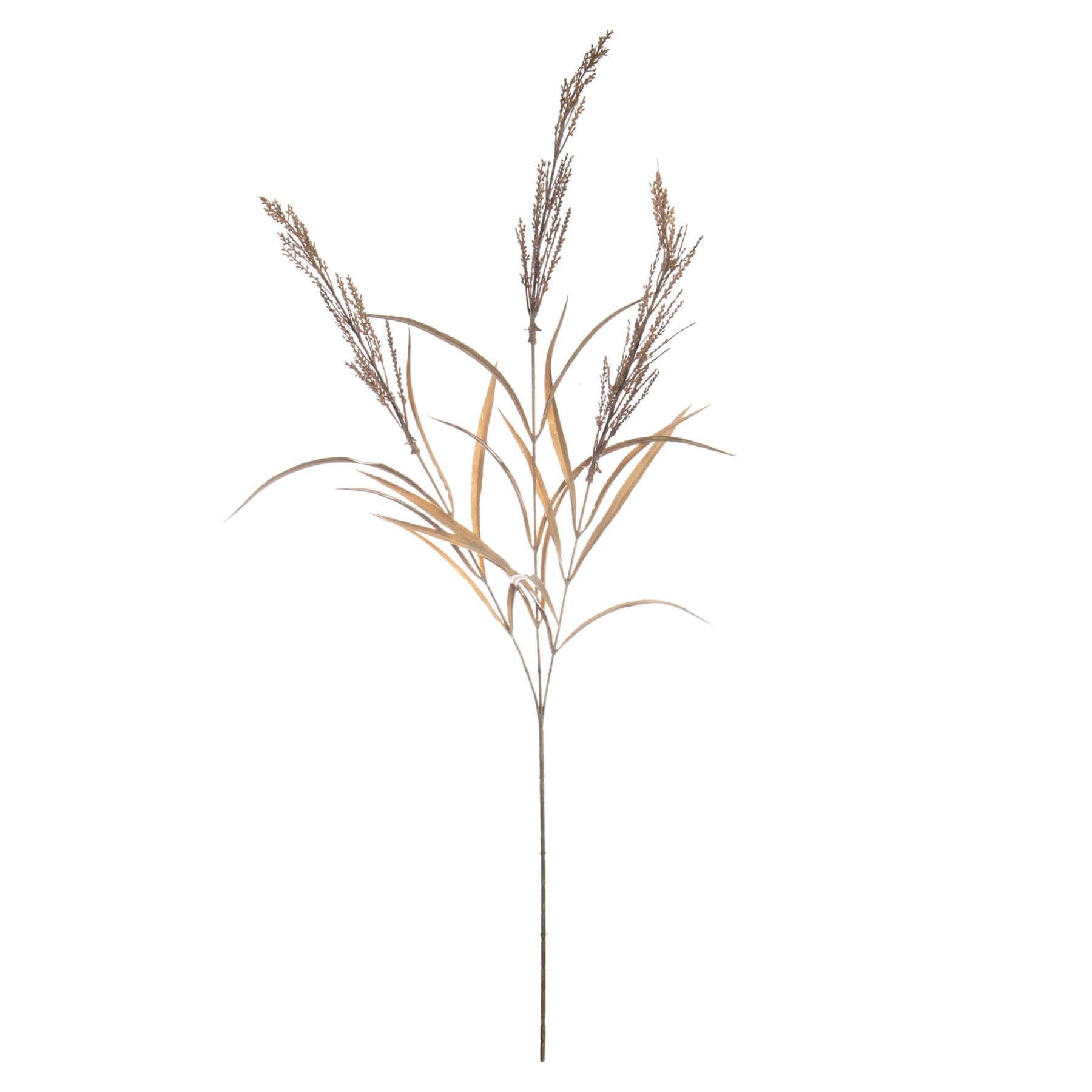 Brown Dried Heather Spray, 33"
