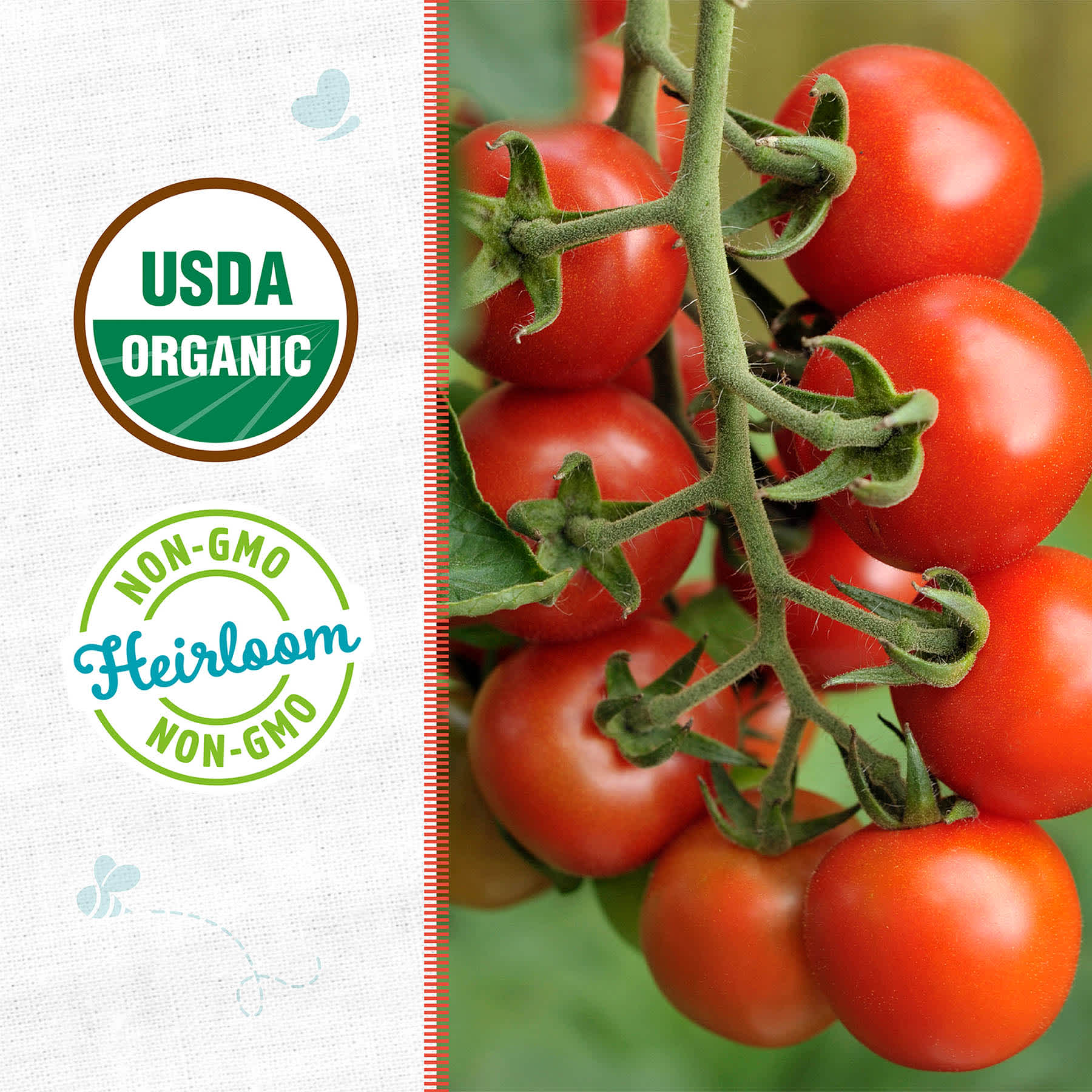 Back to Roots Heirloom Seeds, Tomato Red Cherry