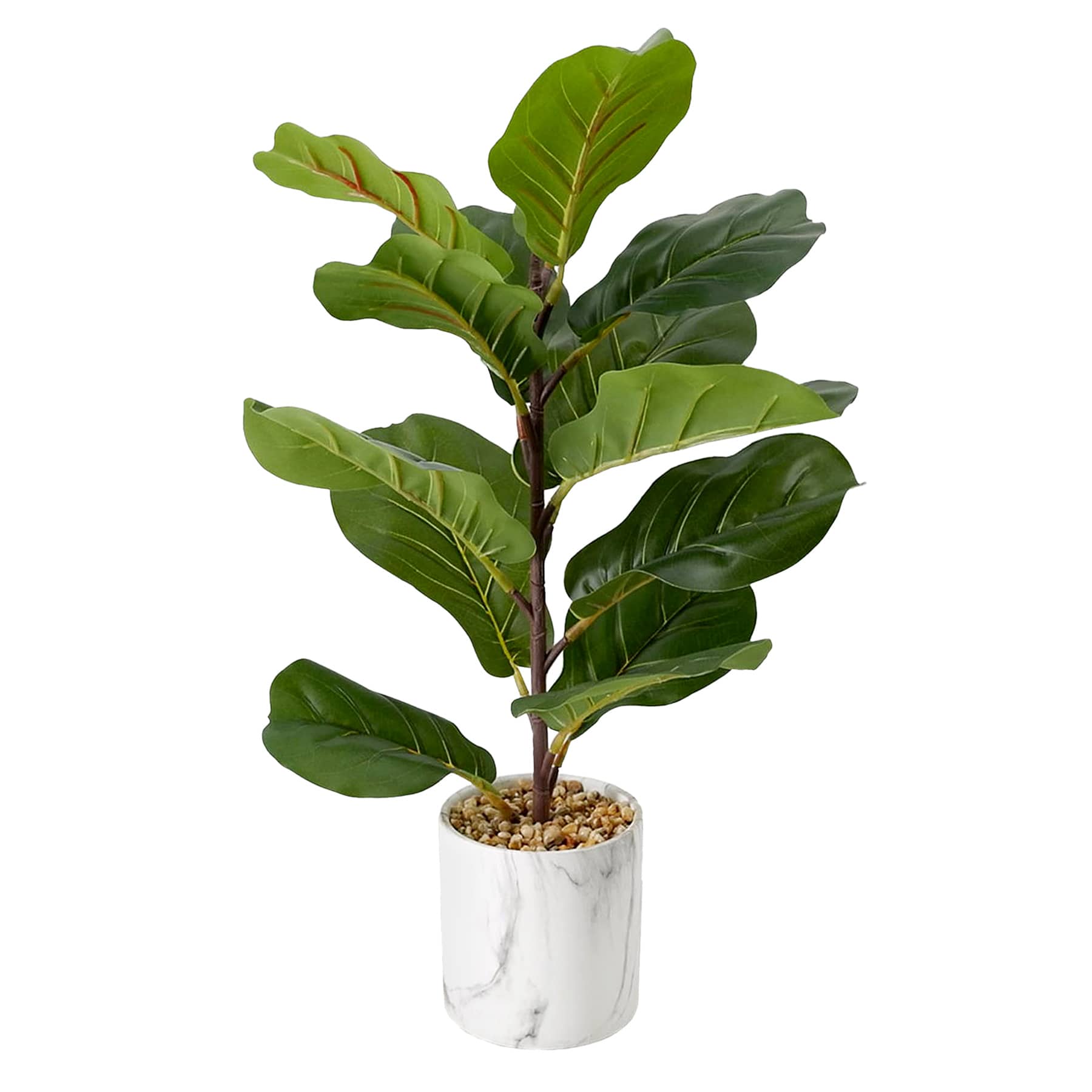 Fiddle Leaf in Ceramic Pot, 22"