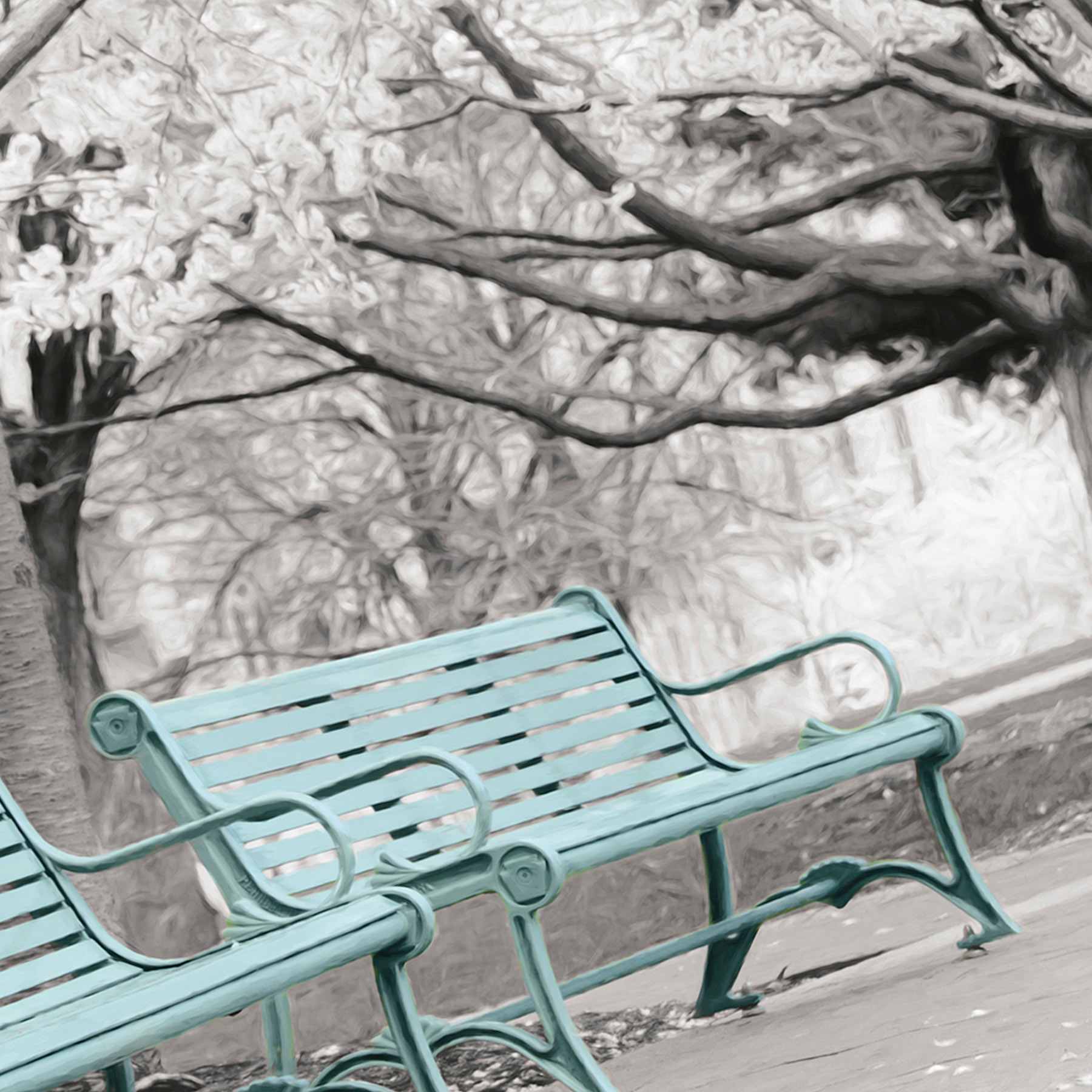 Enhanced Teal Park Benches Canvas Wall Art, 45x60
