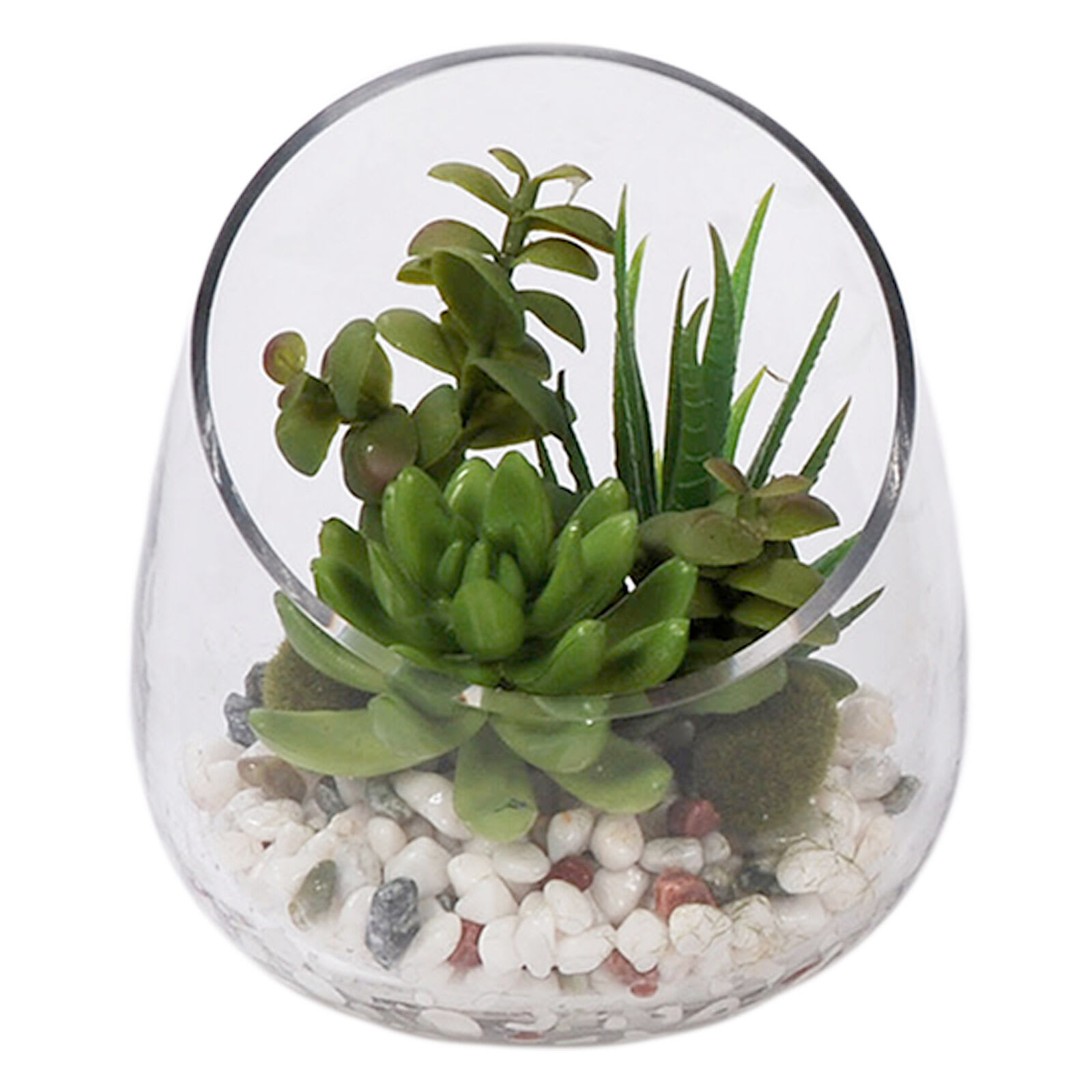 Assorted Succulent Glass Terrarium, 6.5"