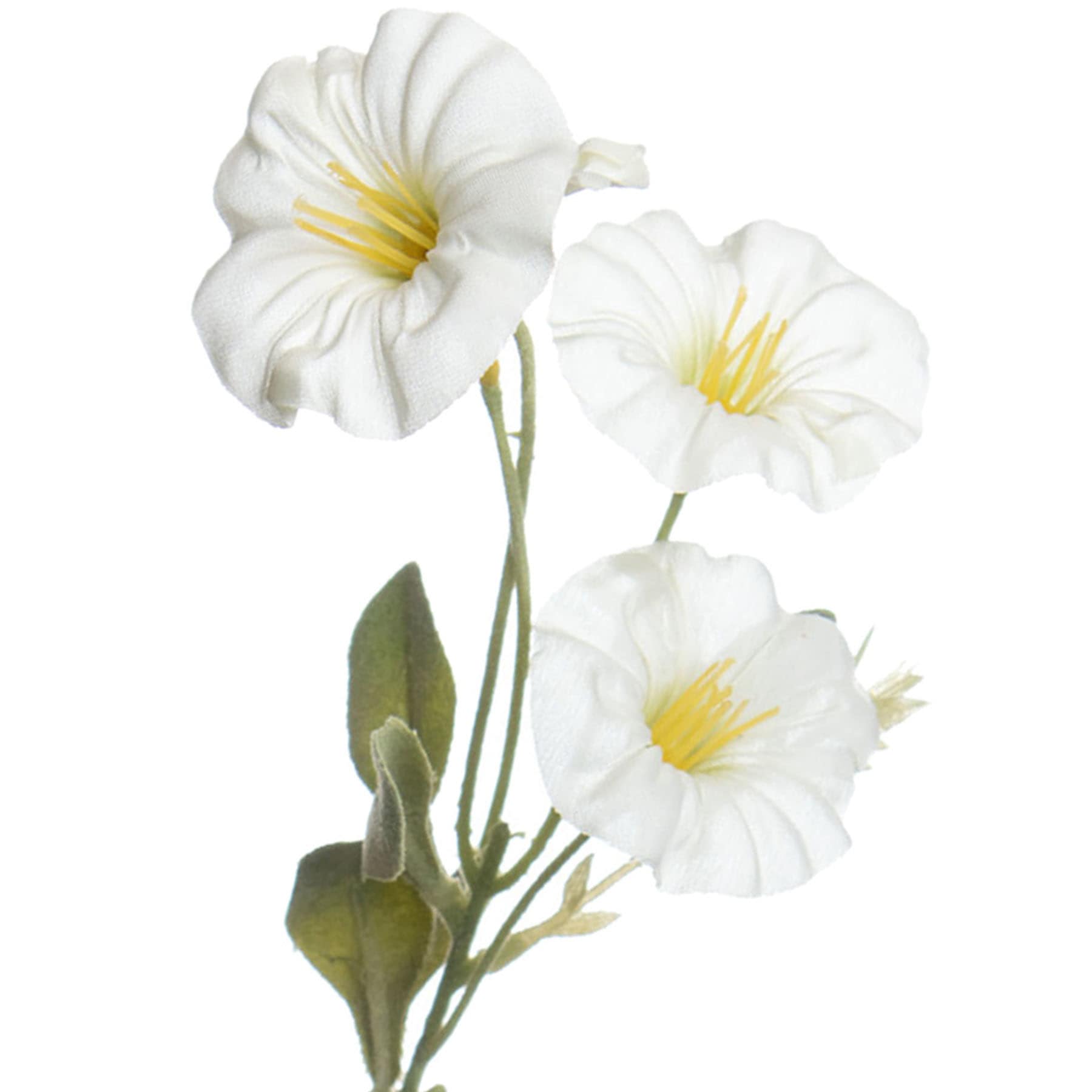 White Morning Glory Pick, 12"
