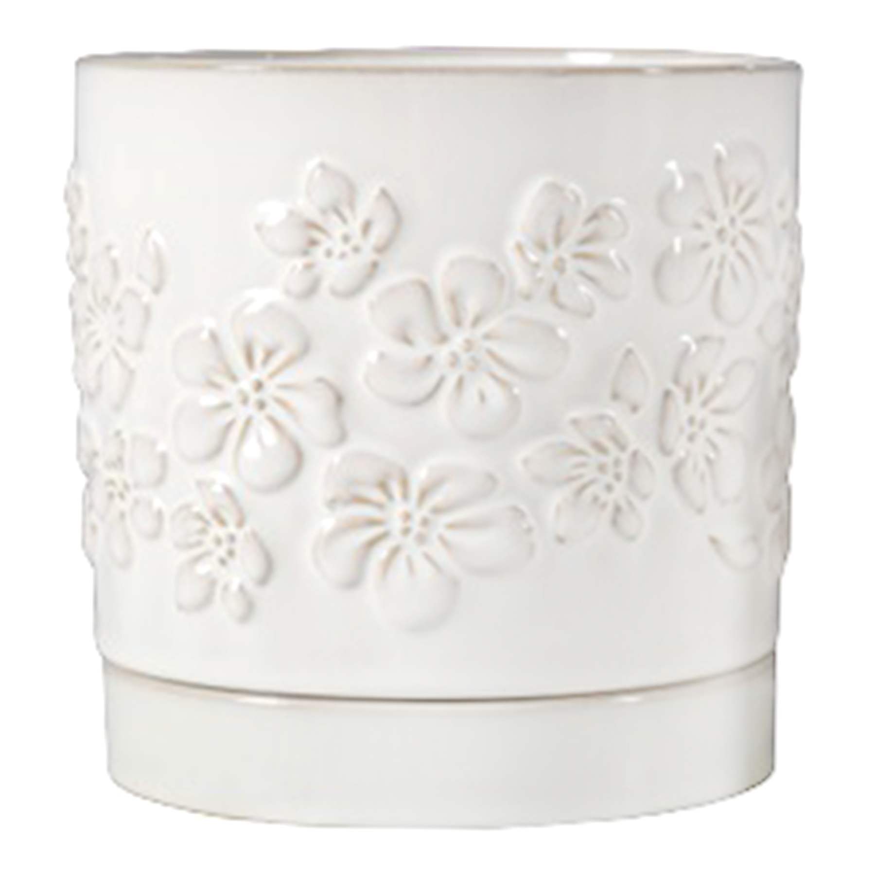 Indoor Dahlia White Pot, Medium