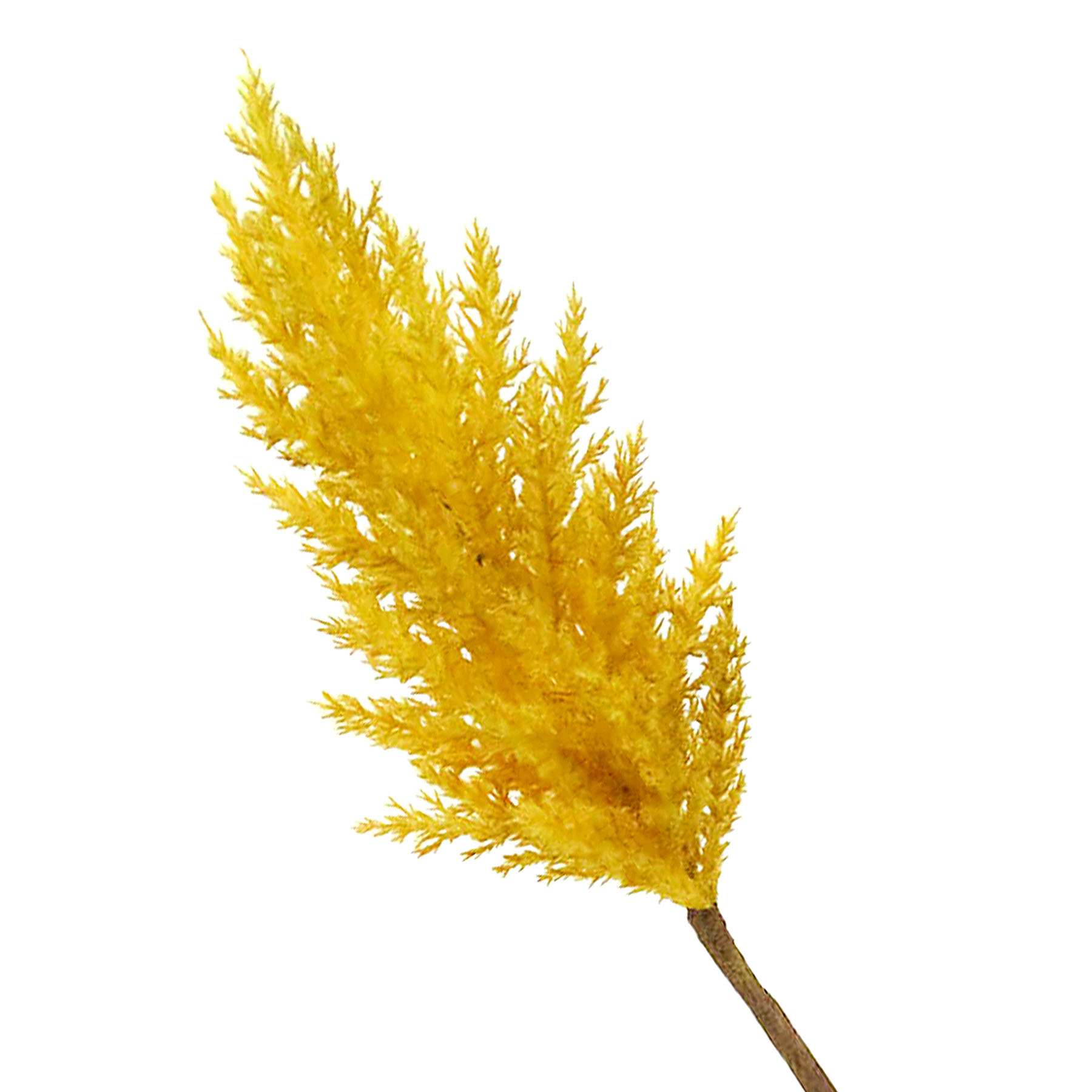 Mustard Yellow Pampas Grass Stem, 36"