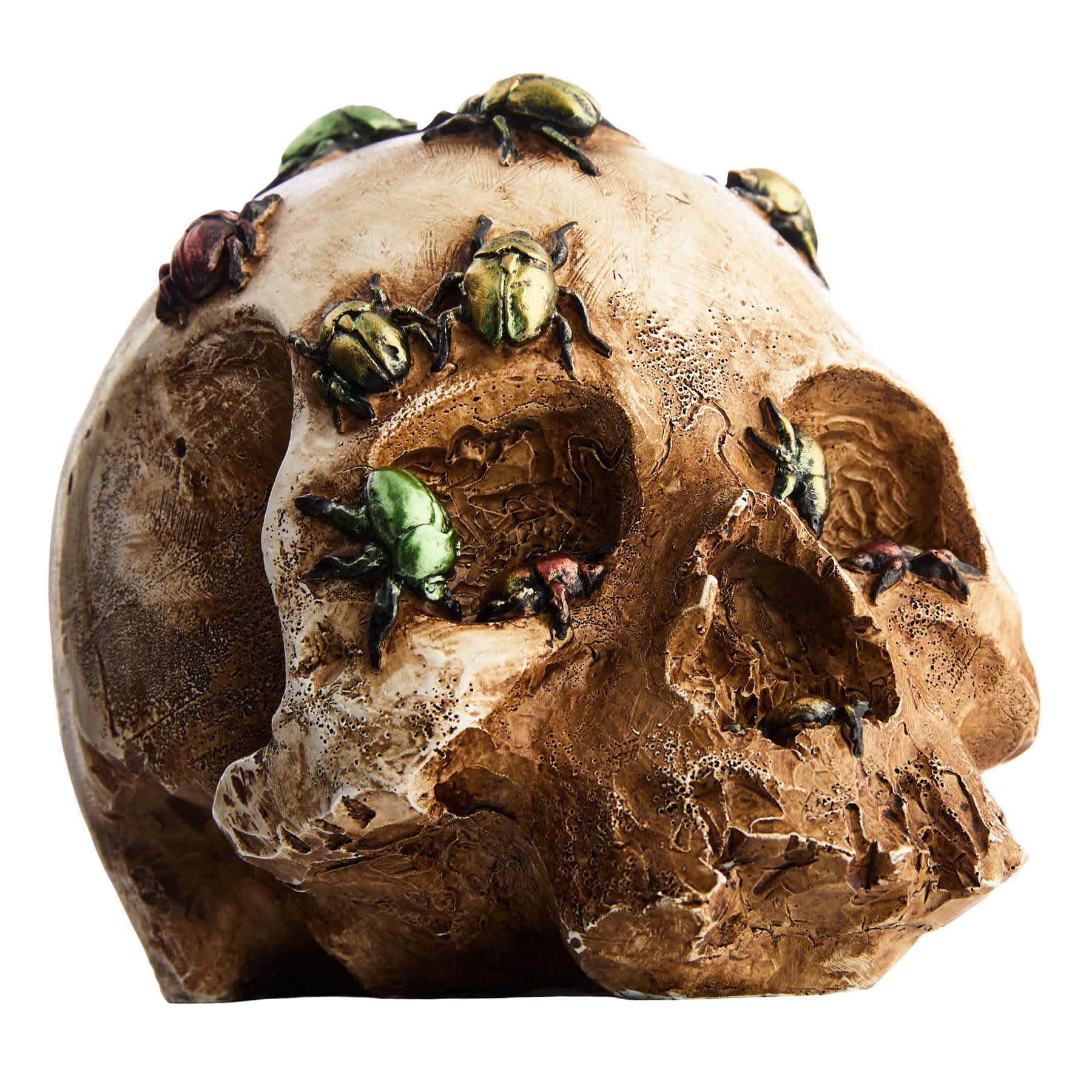 Grim Gardens Skull with Bugs, 7x5.5