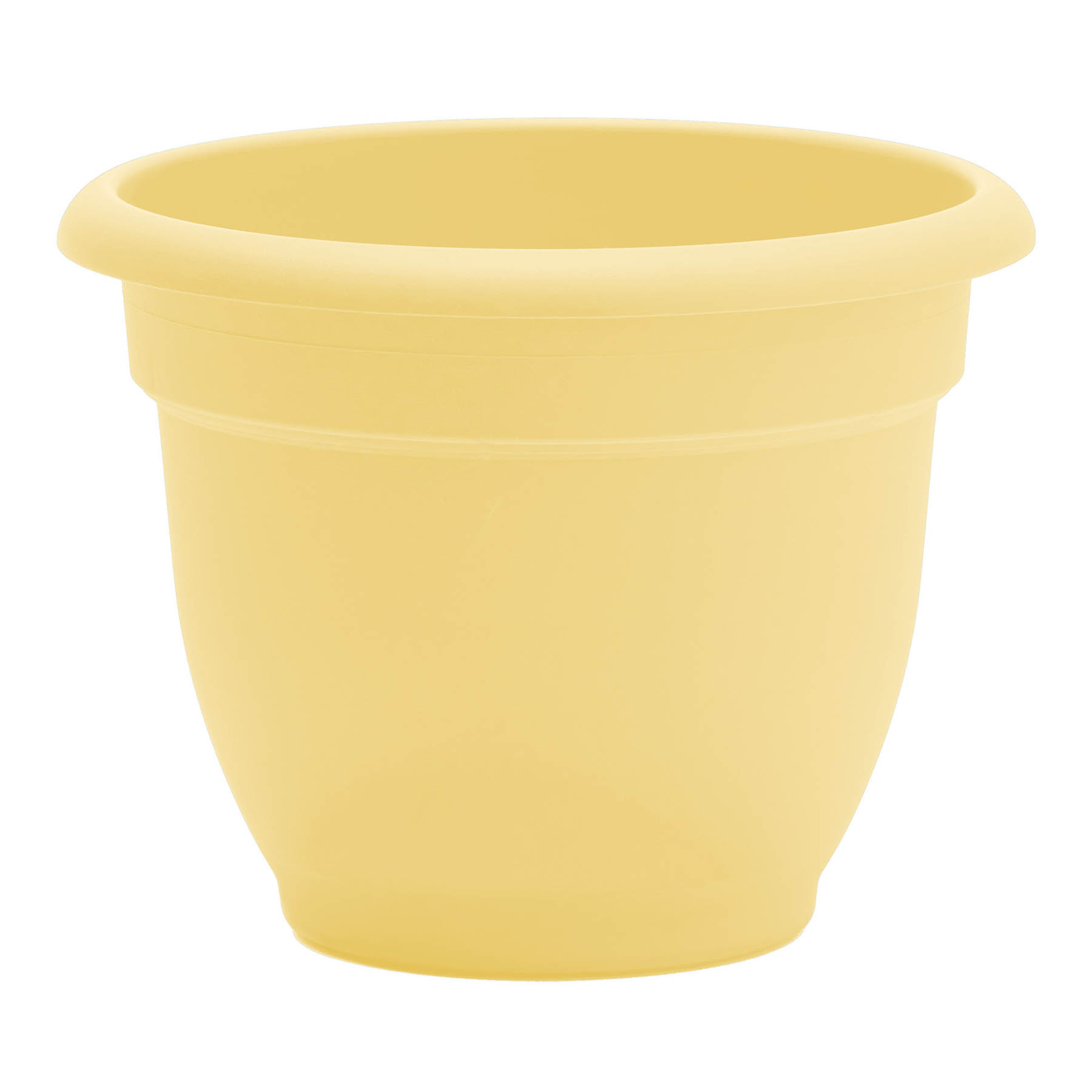 Ariana Daffodil Outdoor Planter, 8"