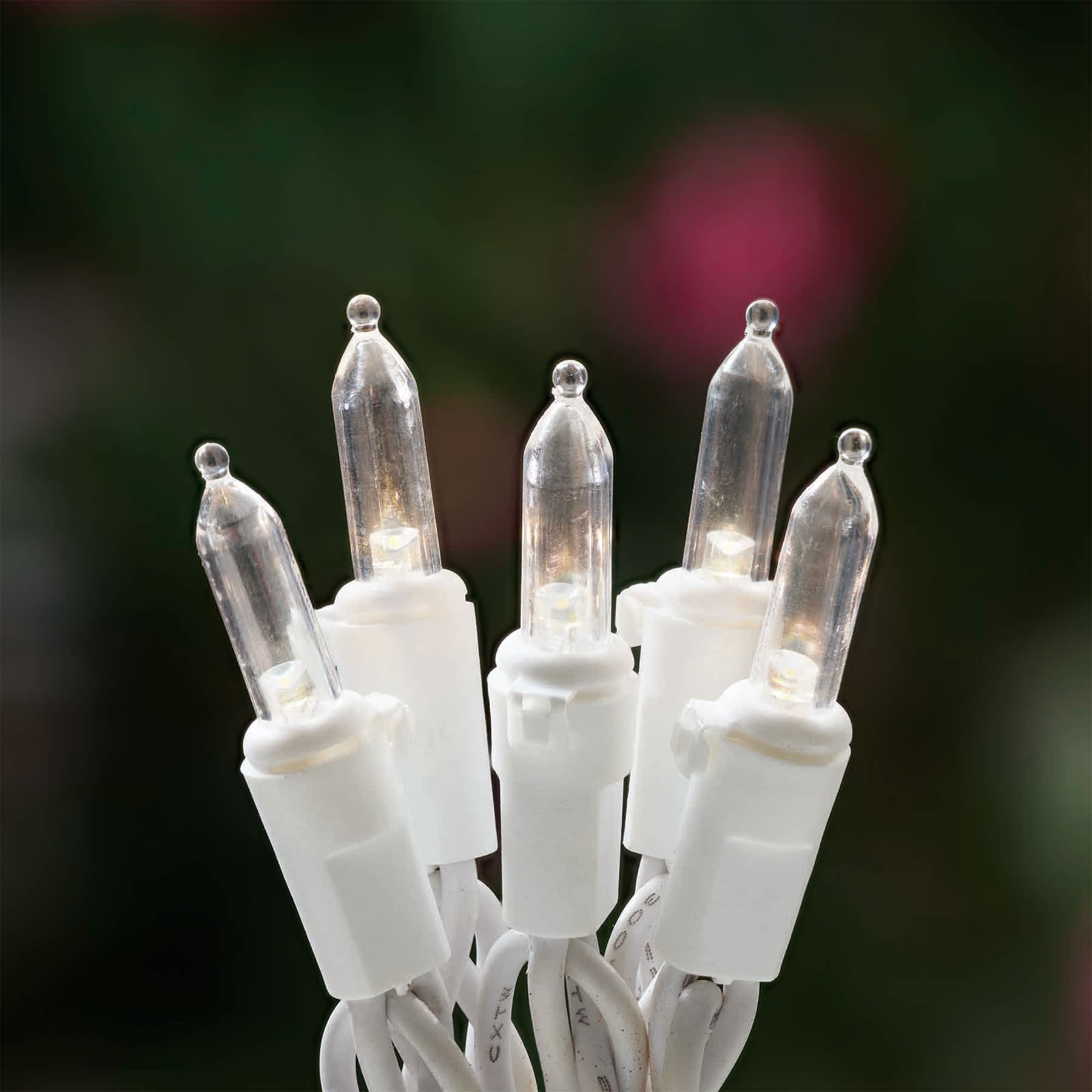 100-Count Warm White LED Mini Lights with White Wire
